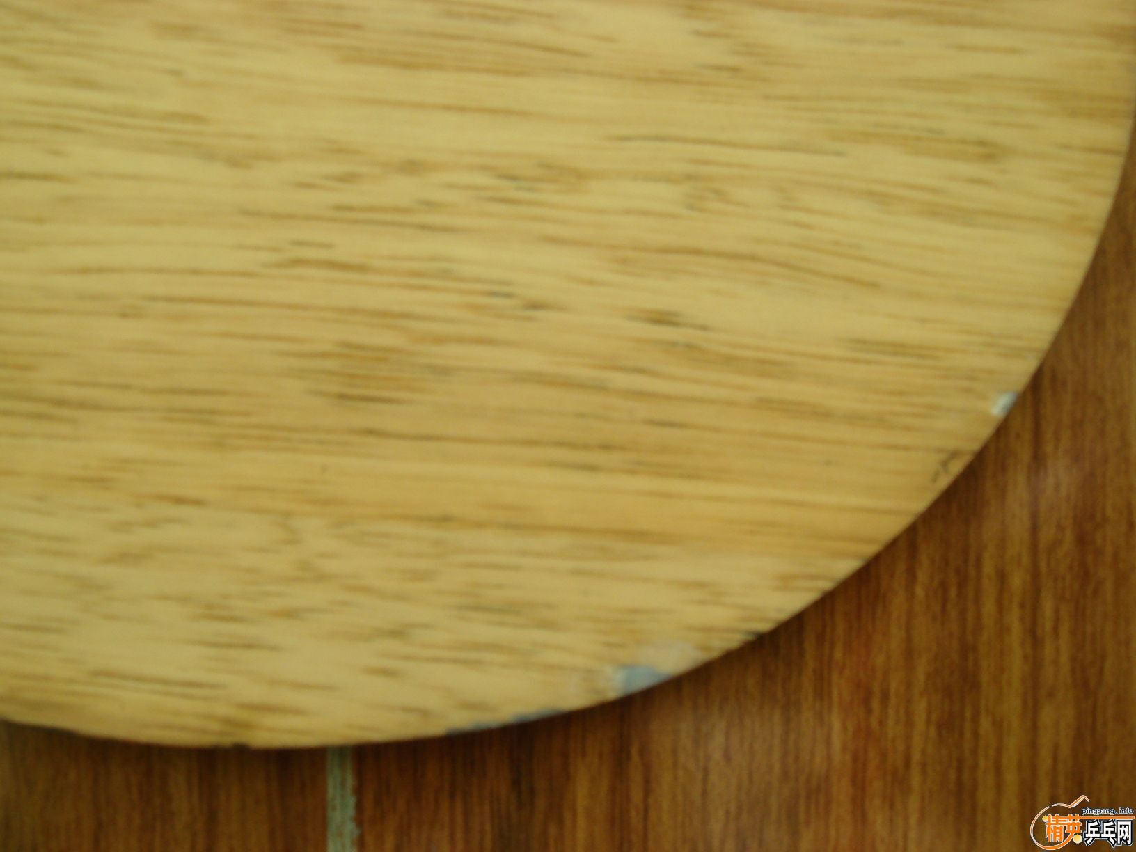 �����ѳ�������Ӿ��䲻��������������