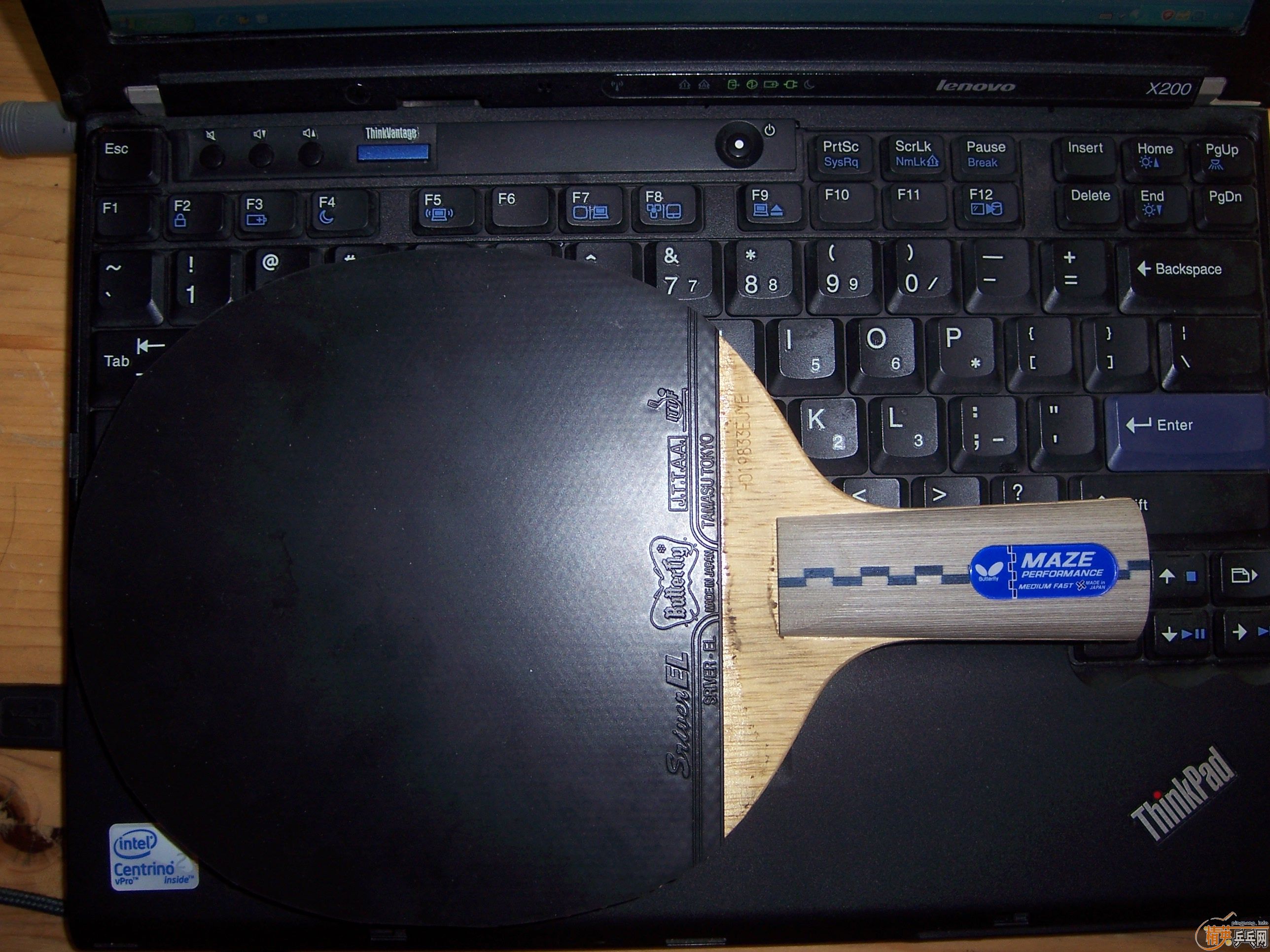 ���ۺ��� MAZE,����EL,���棷����