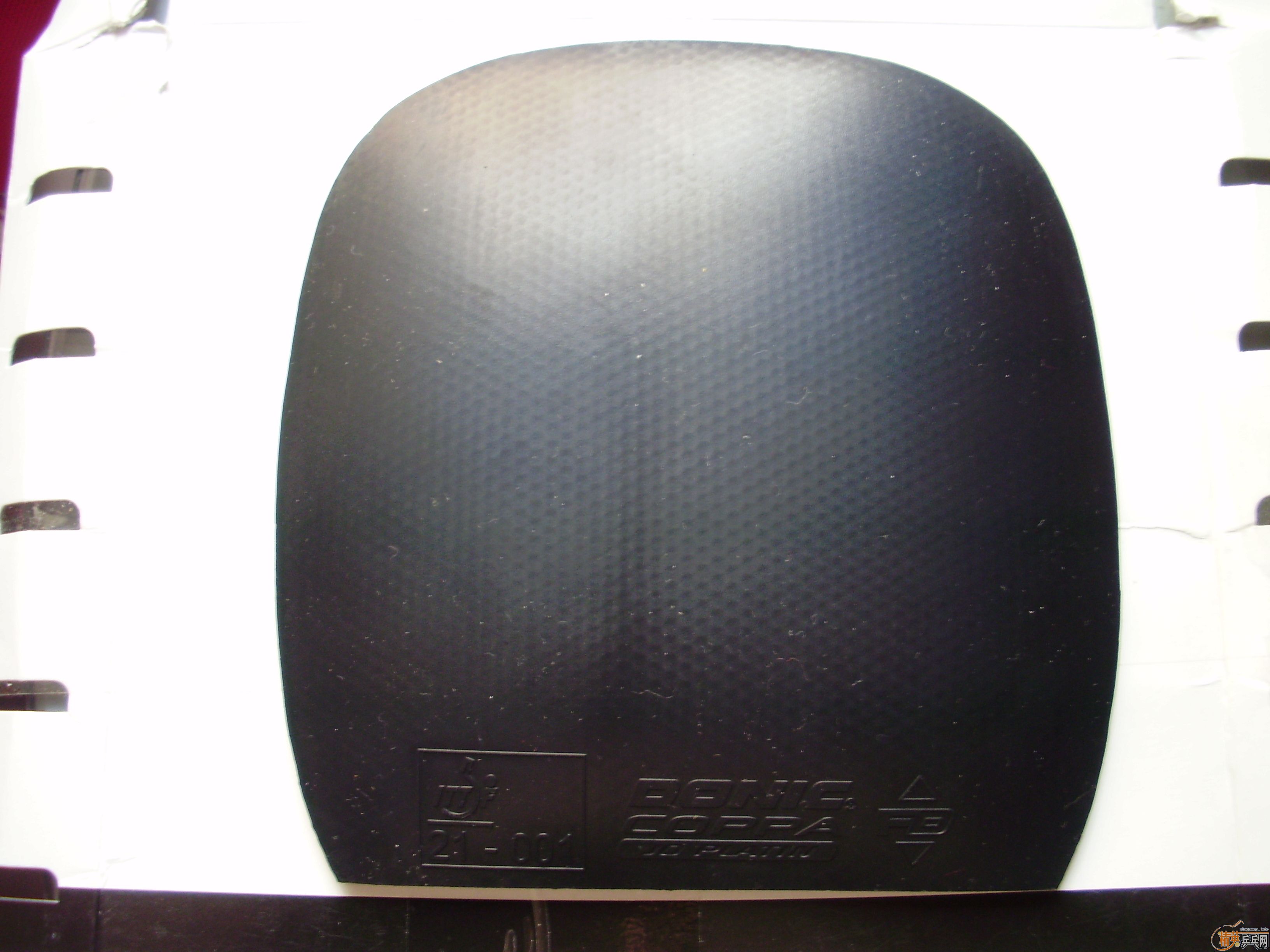 ת�����׽���2��