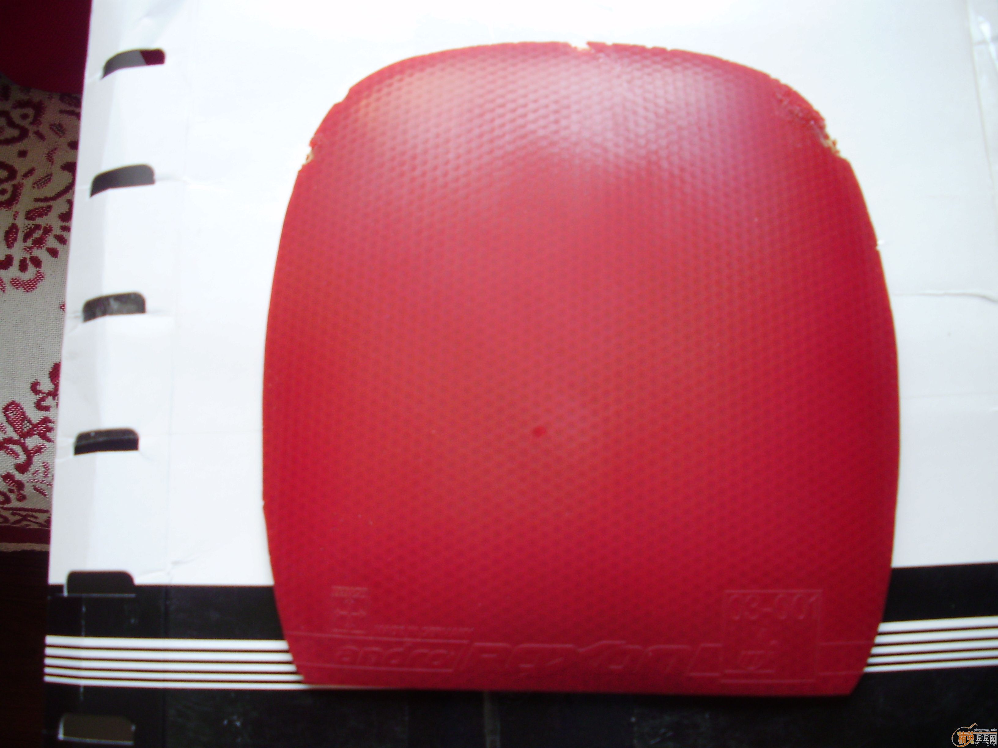 ת�����׽���2��