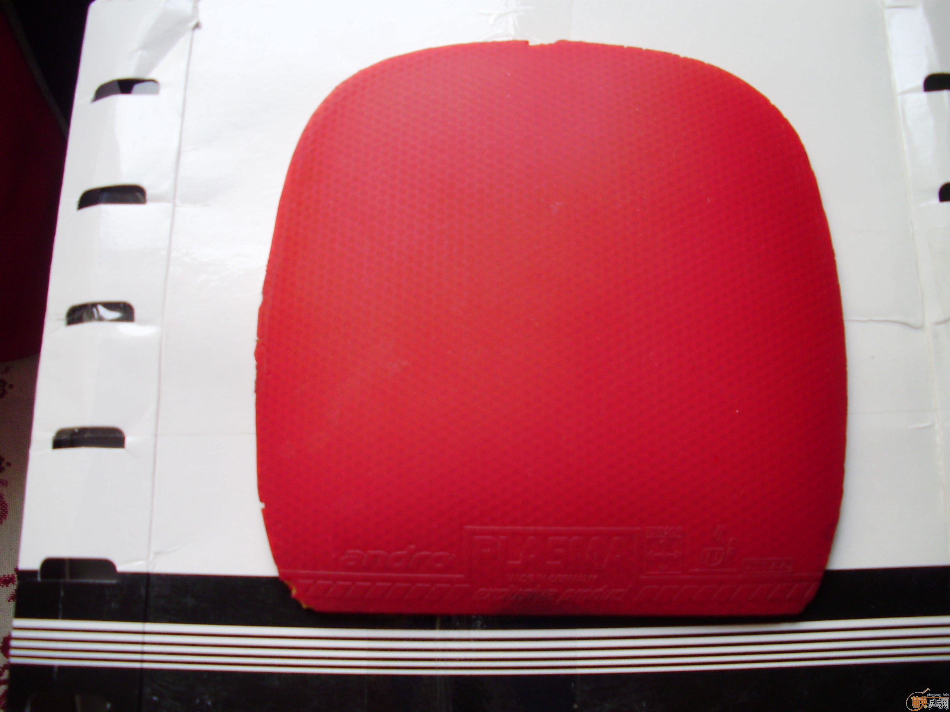 ת������ֱ�׽�