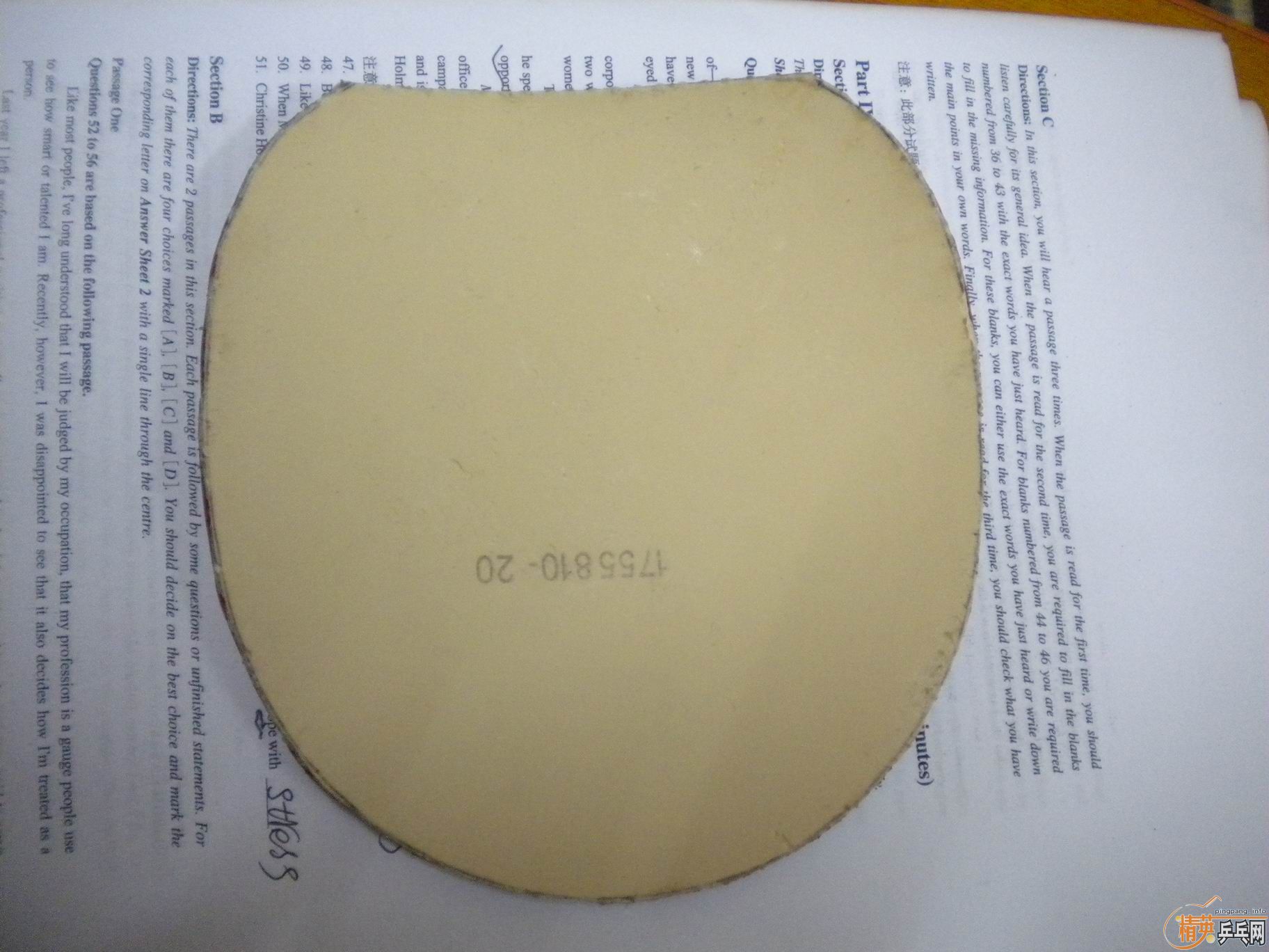 ���ĳ�����jo