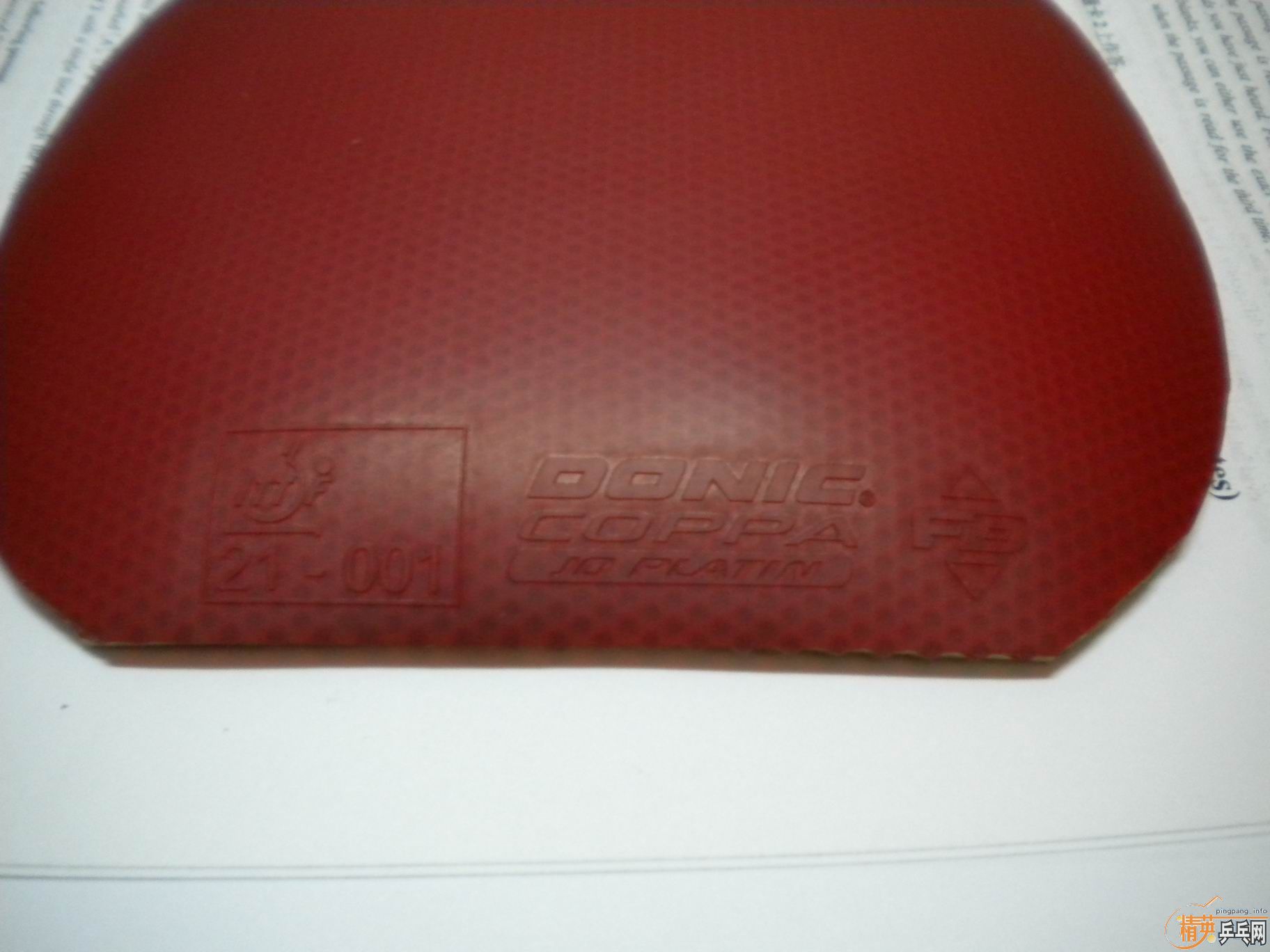 ���ĳ�����jo