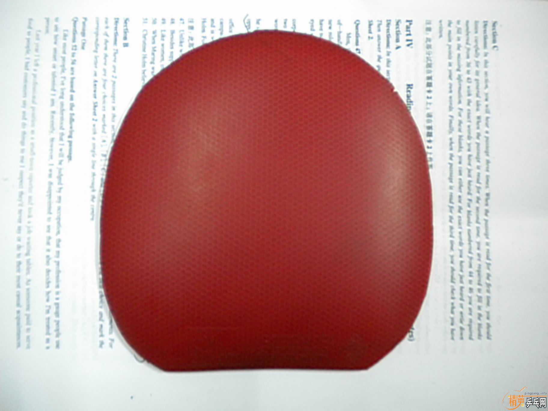 ���ĳ�����jo