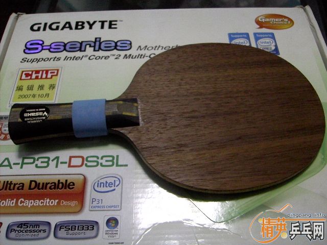 ��˹��YDMax17����