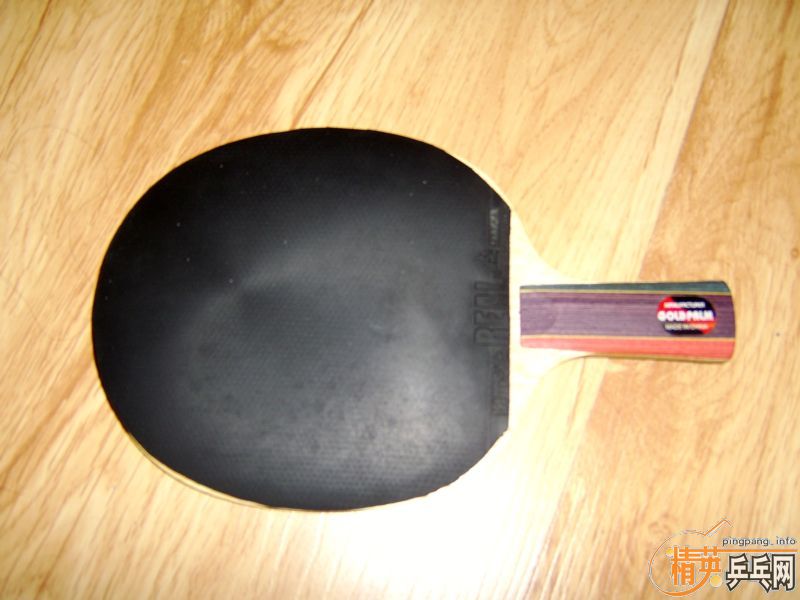 palio r51ֱ��+7��tsp real�׽�=100��������������֧��֧������