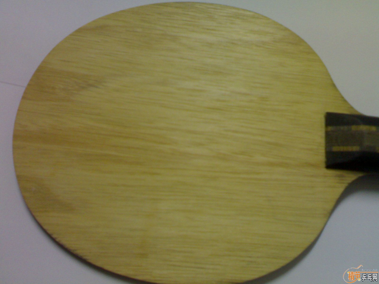 ��ŷ��Yasaka 17�� ST��550���ʣ�