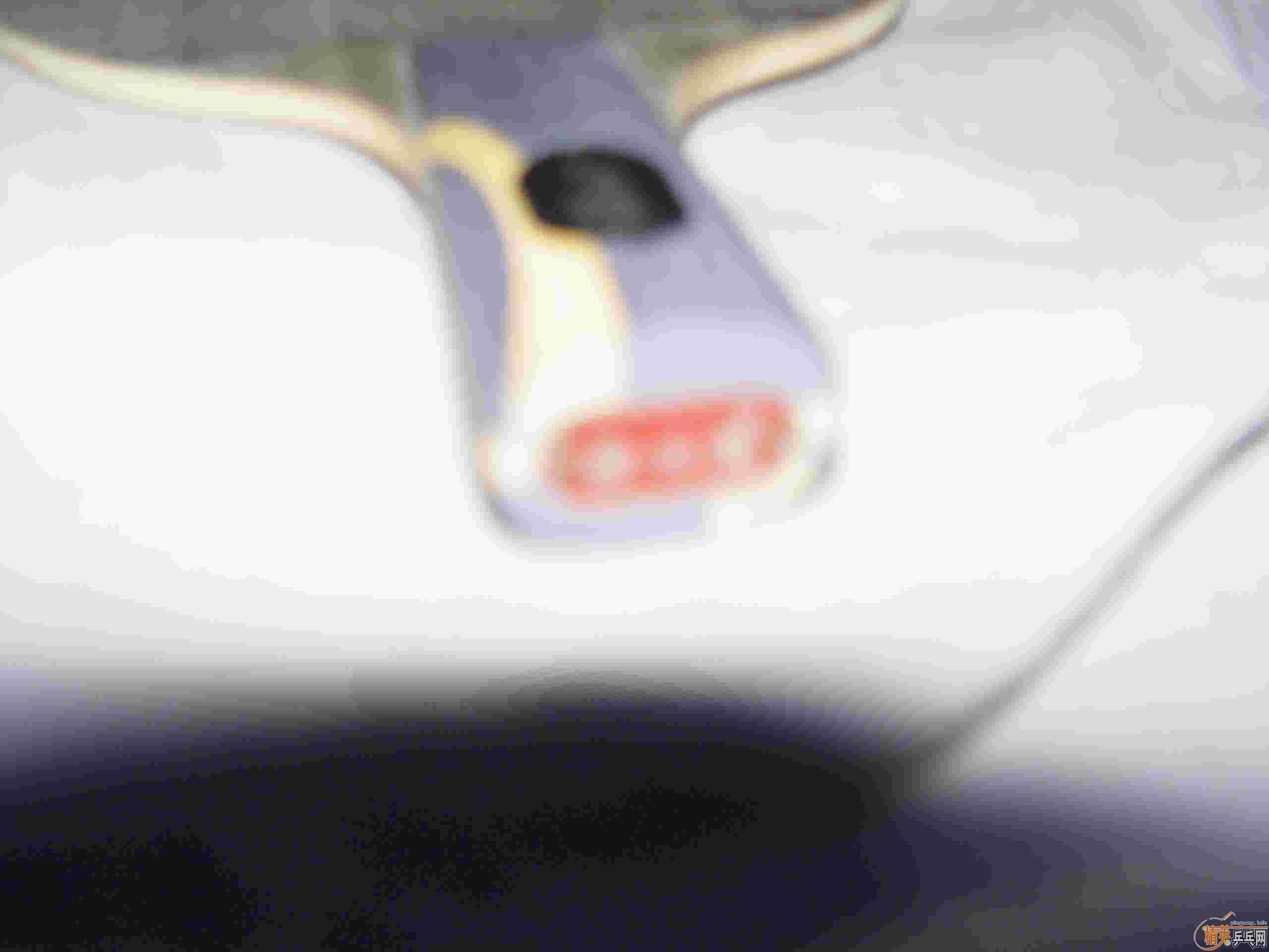 ���������˴�ͺ�ɫ��Ƥ�����ơ���ye