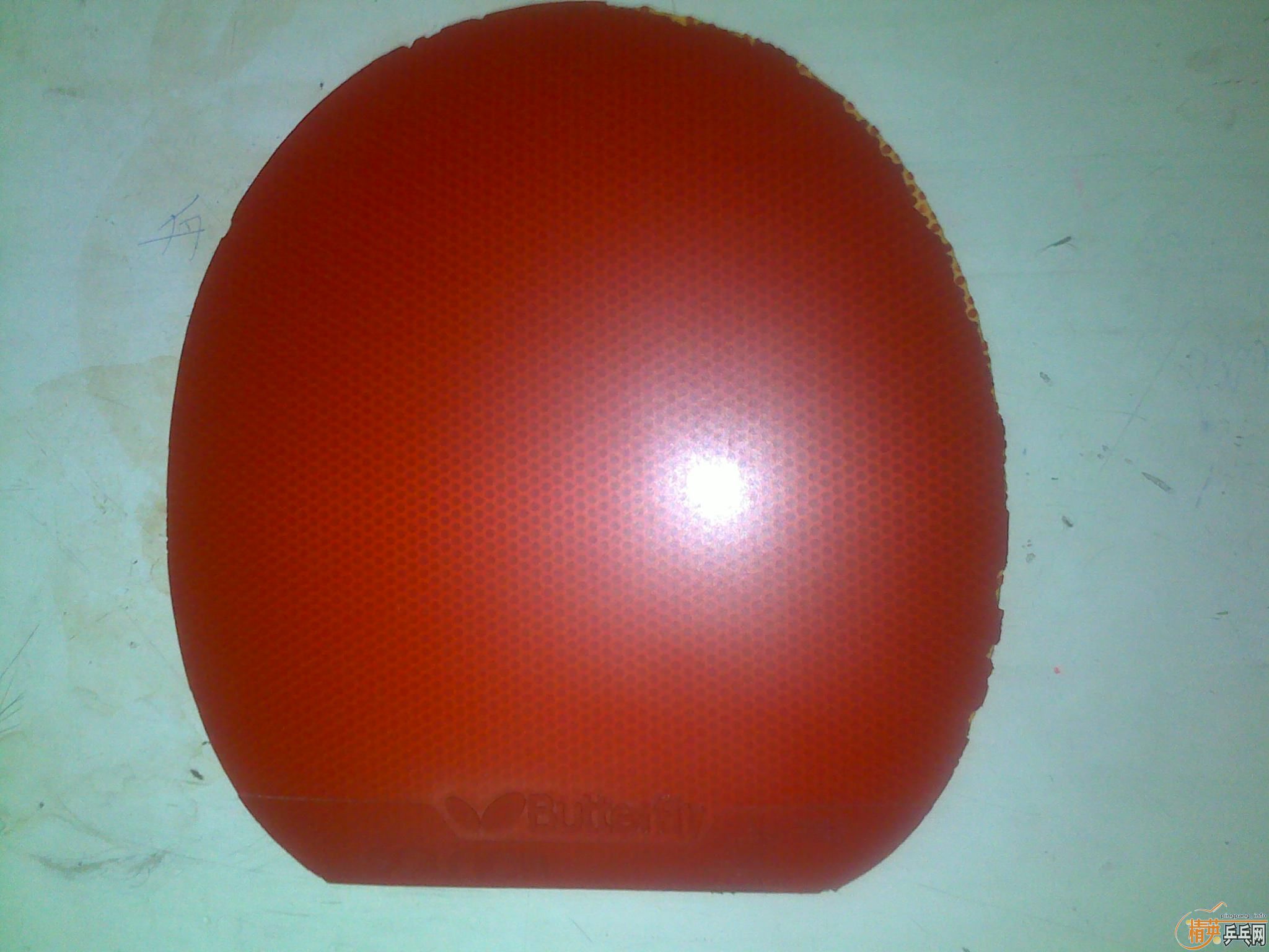 �����7.6�������GA������ST�ģ��ٳ�����������