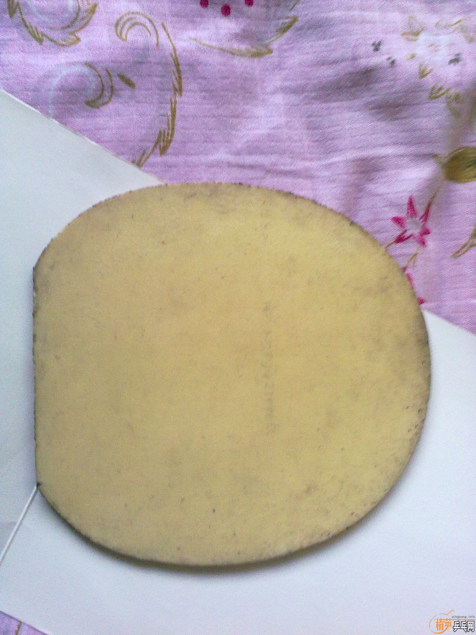 ���˳����