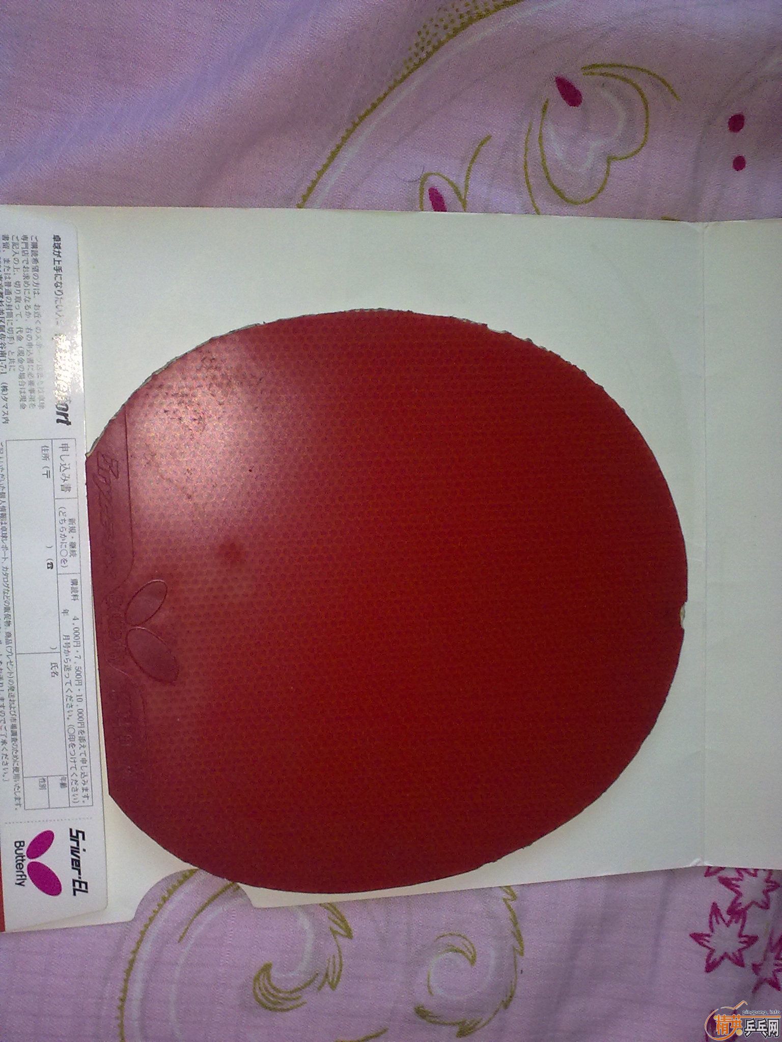 ���˳����