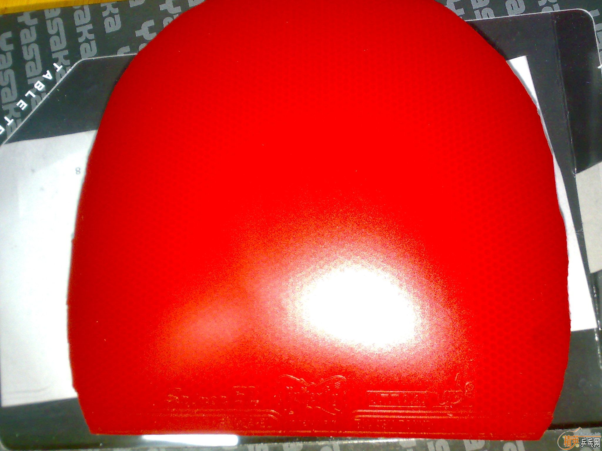 ���հ�����̼��98��EL