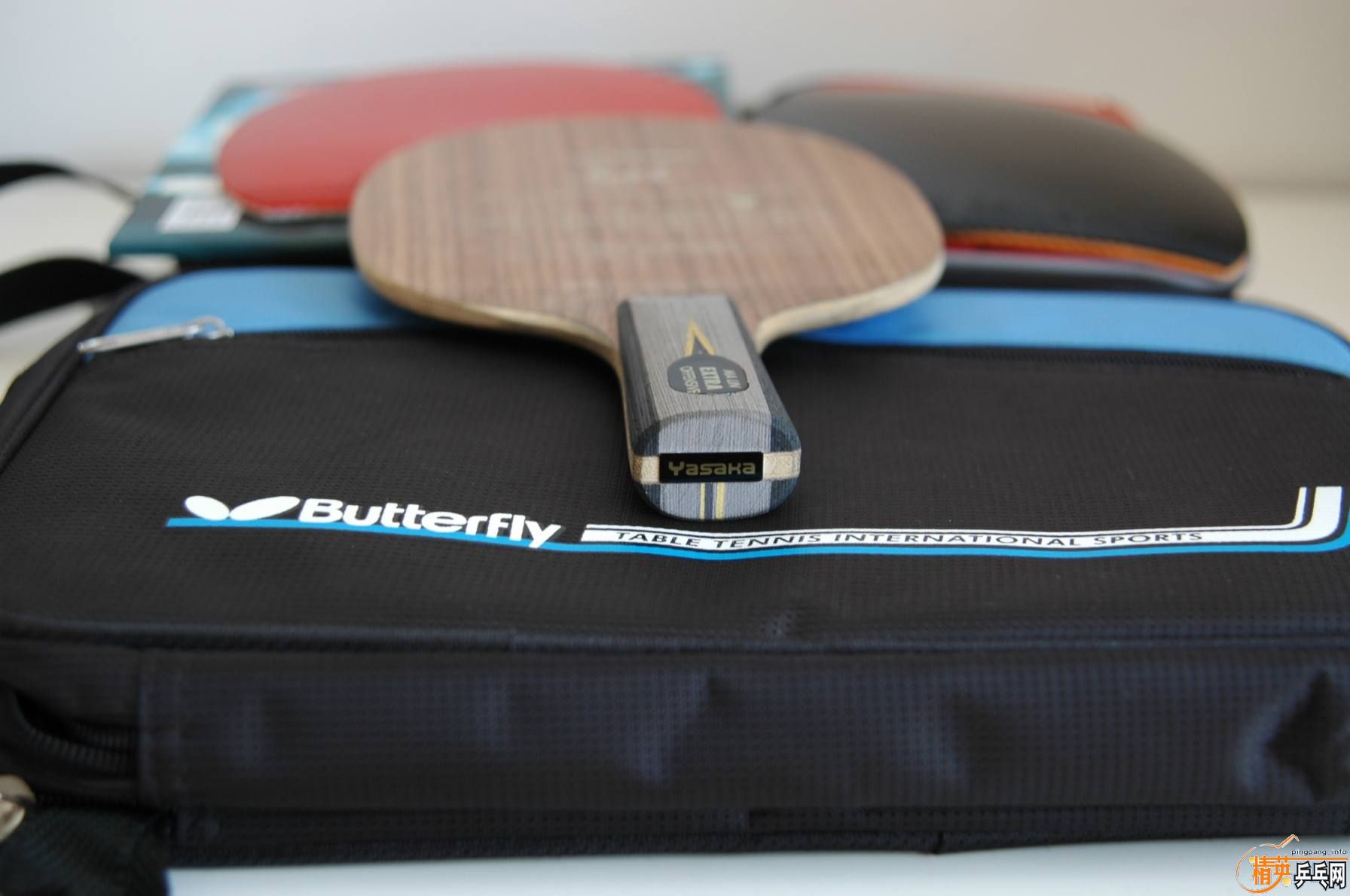 ��������˫�ǣ����л�YEO 380Ԫ�����ʣ� ���հ�YE 350Ԫ�����ʣ�