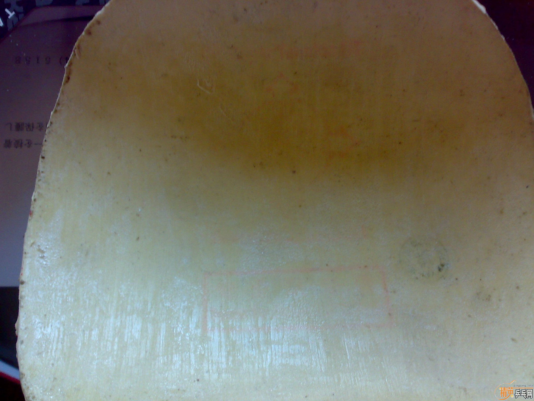 ���հ�����̼��98��EL