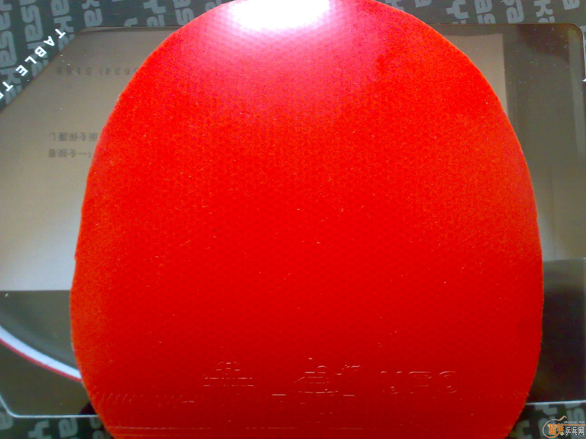 ���հ�����̼��98��EL