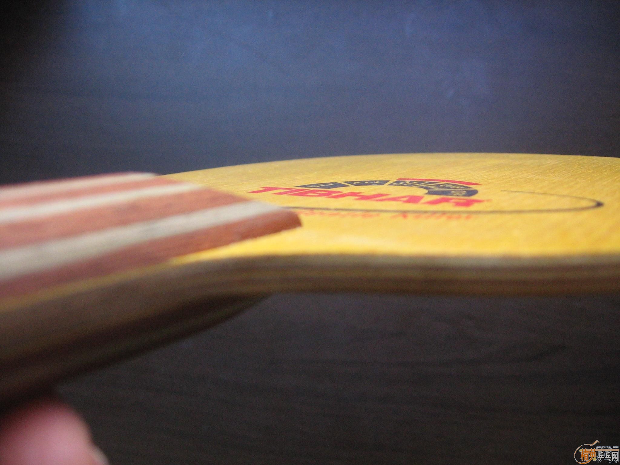 ��ֻ�������ε�ͦ������ɱ��370����