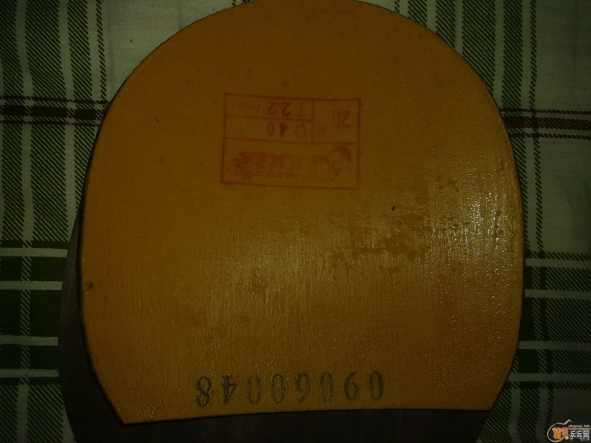 �Żݳ�������ɫ�õ��׽���