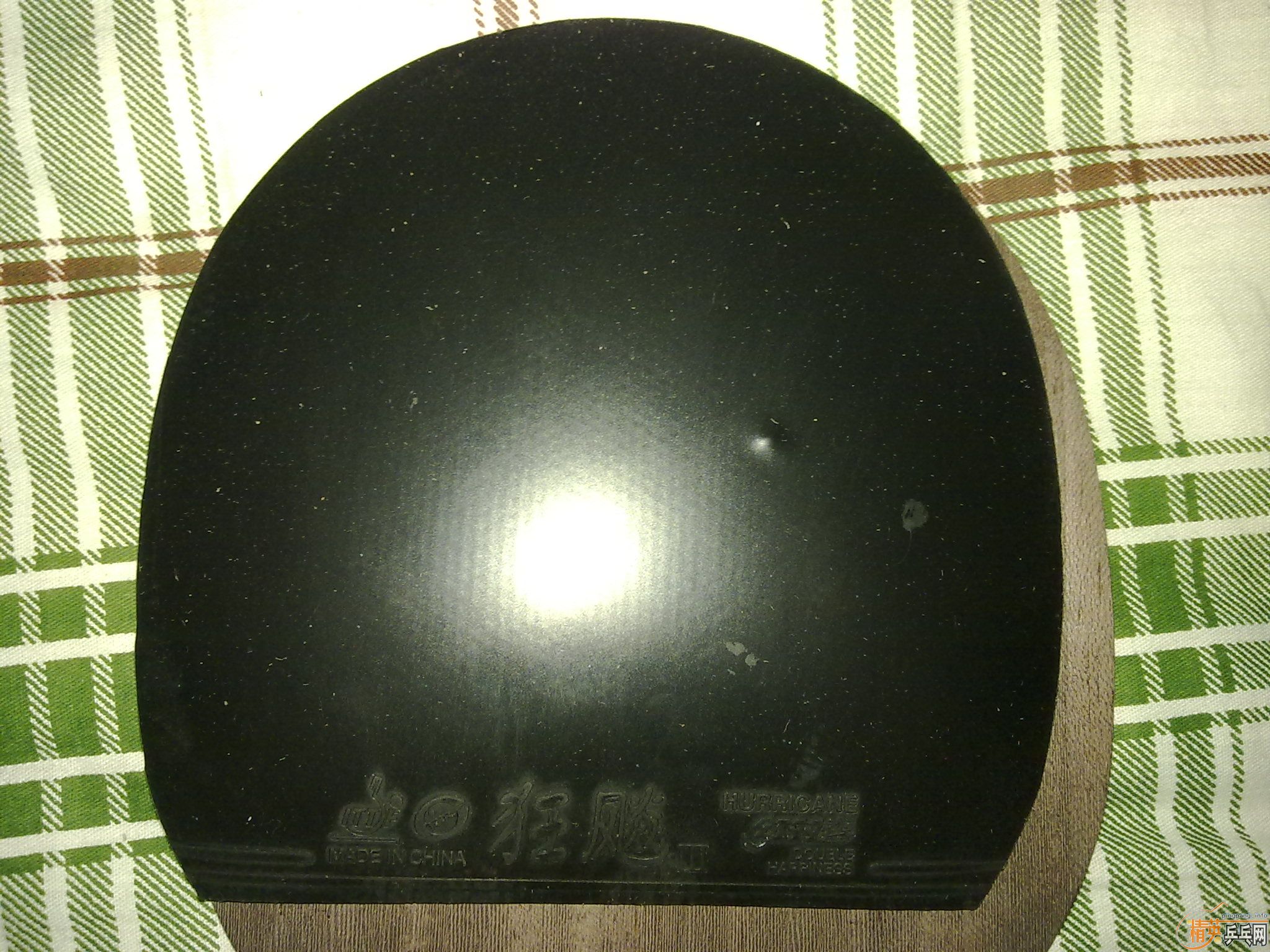 �Żݳ�������ɫ�õ��׽���