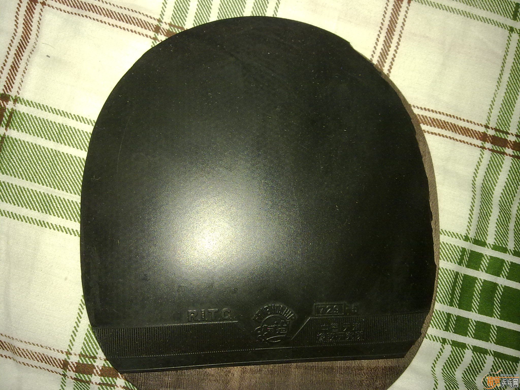 �Żݳ�������ɫ�õ��׽���