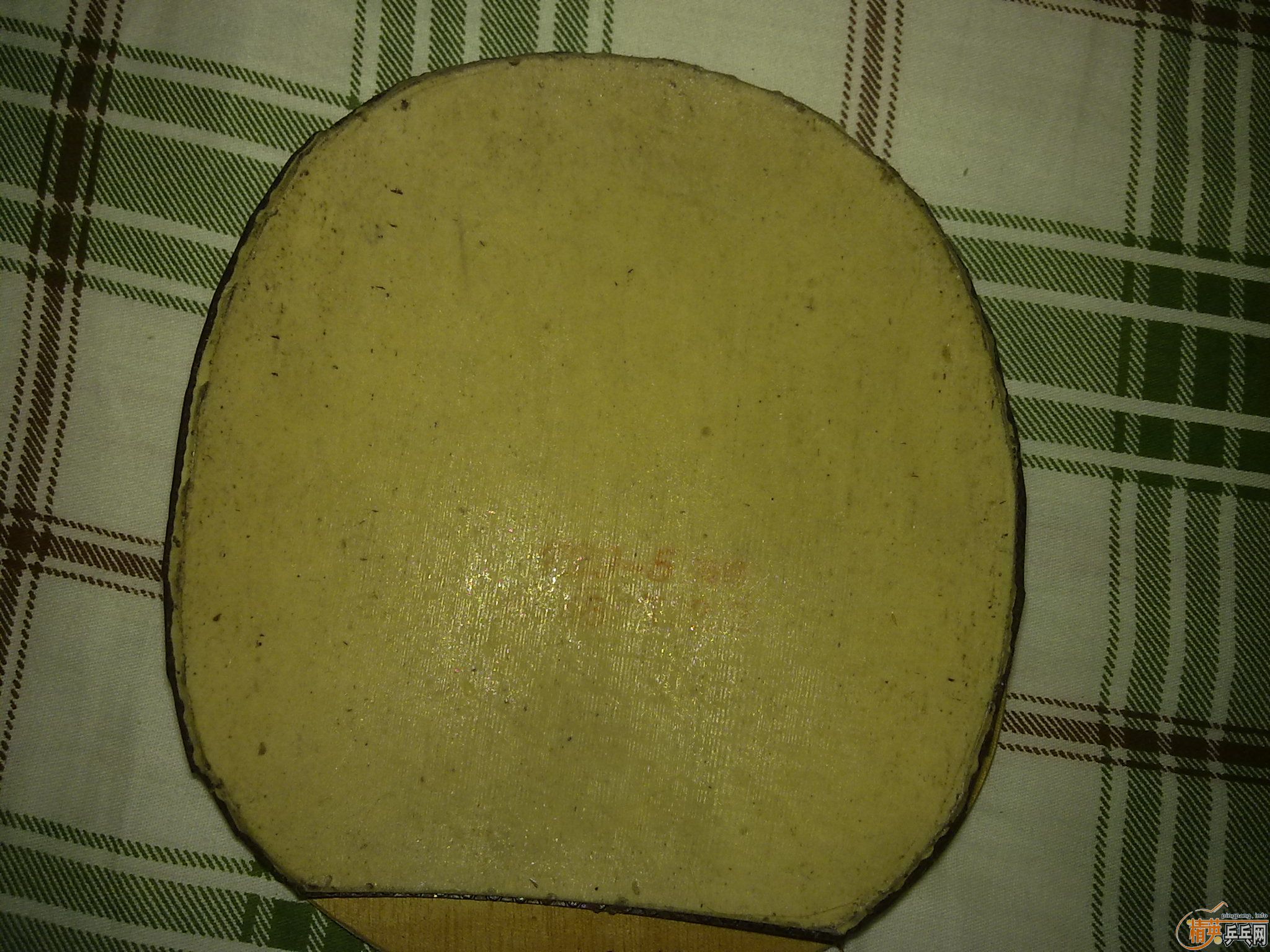 �Żݳ�������ɫ�õ��׽���