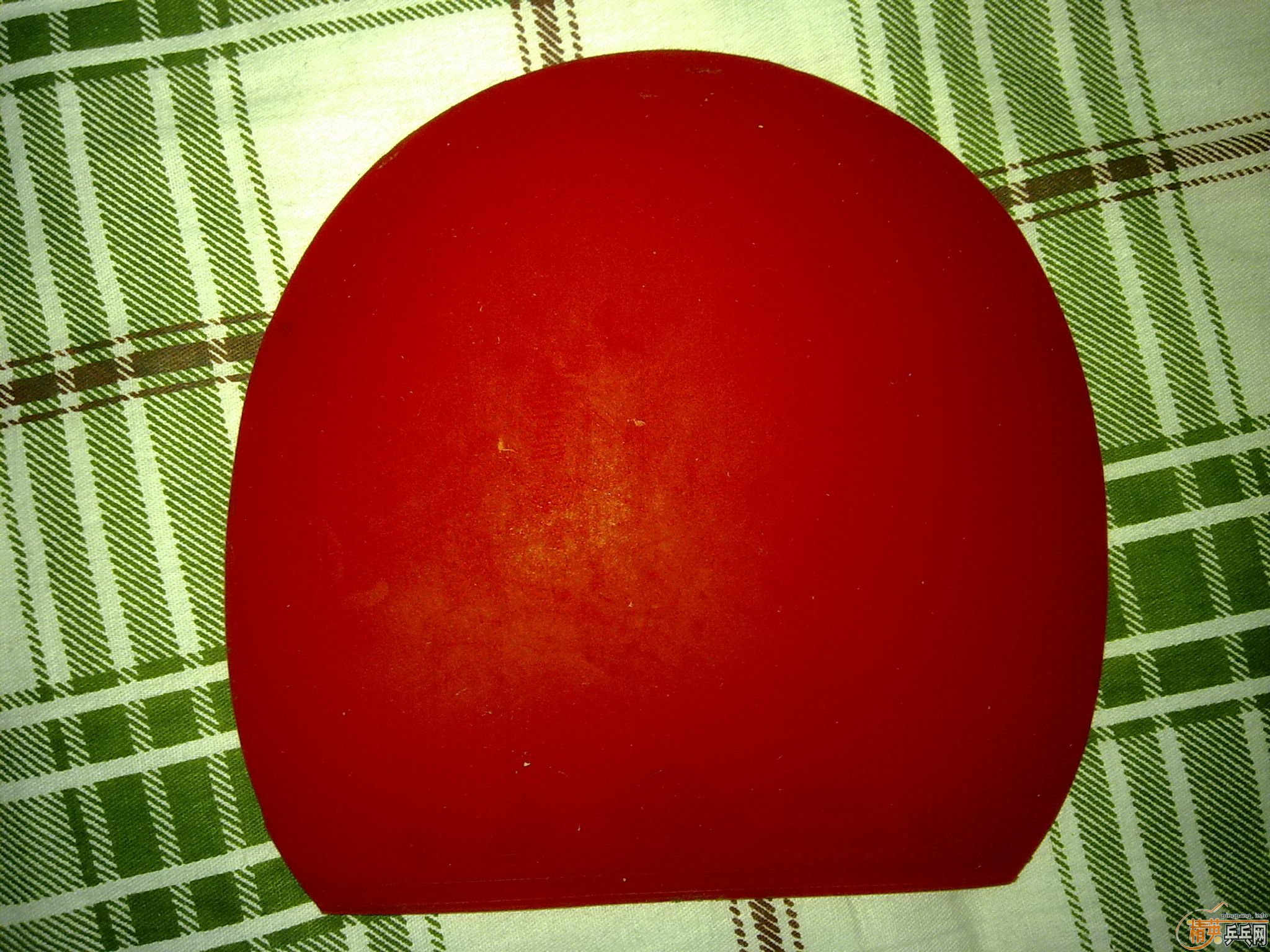 �Żݳ�������ɫ�õ��׽���