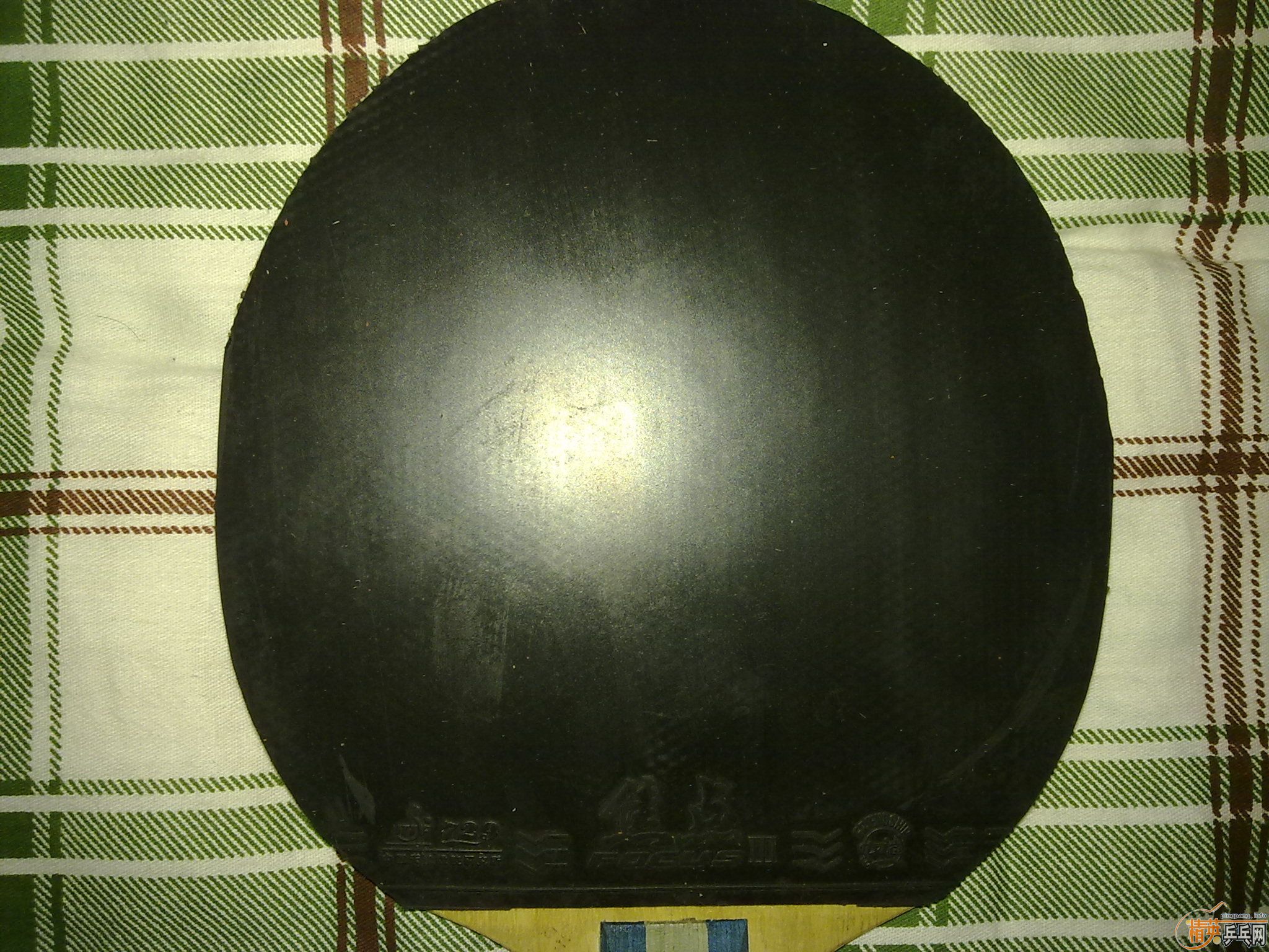 �Żݳ�������ɫ�õ��׽���