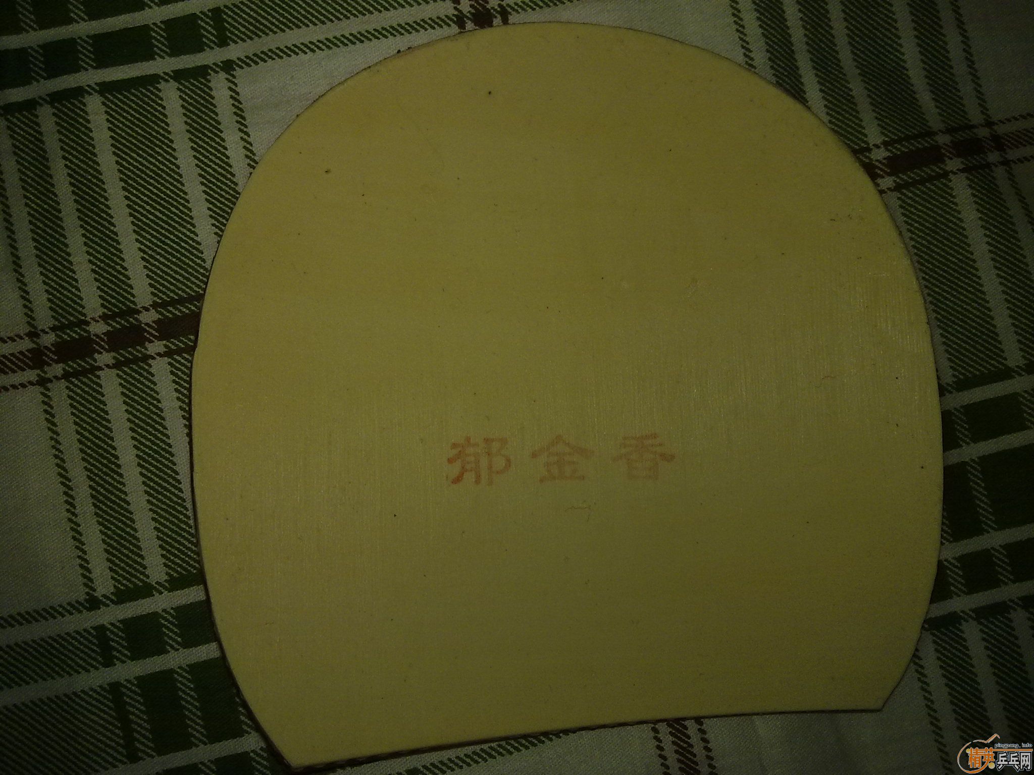 �Żݳ�������ɫ�õ��׽���