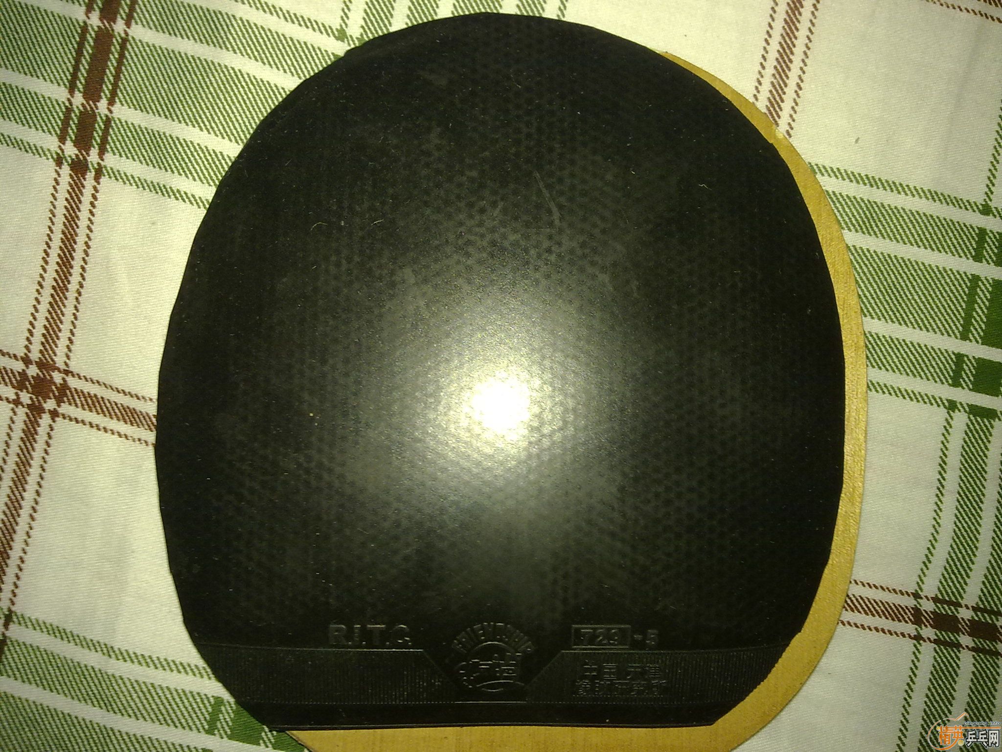 �Żݳ�������ɫ�õ��׽���