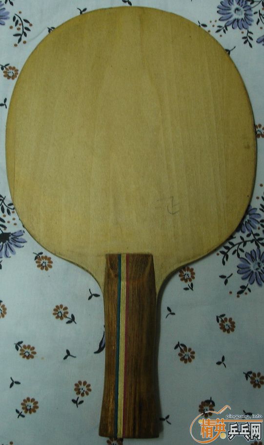 ����ϣ��ͥX3060��999T-1��Ƥ