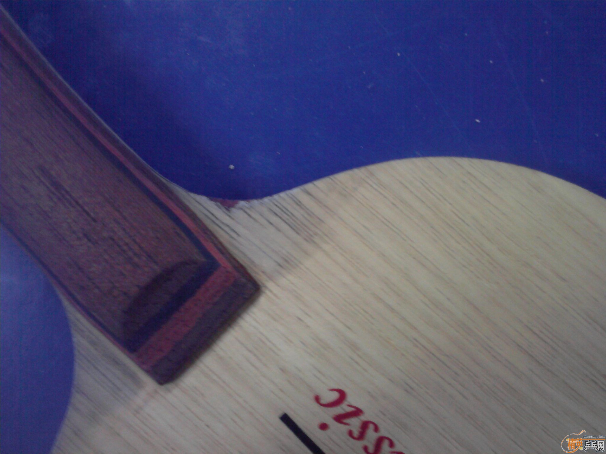 ���һ�������ˣ�����˫ϲ���仡Ȧ��һ�飬���򶼽�����һ�£�