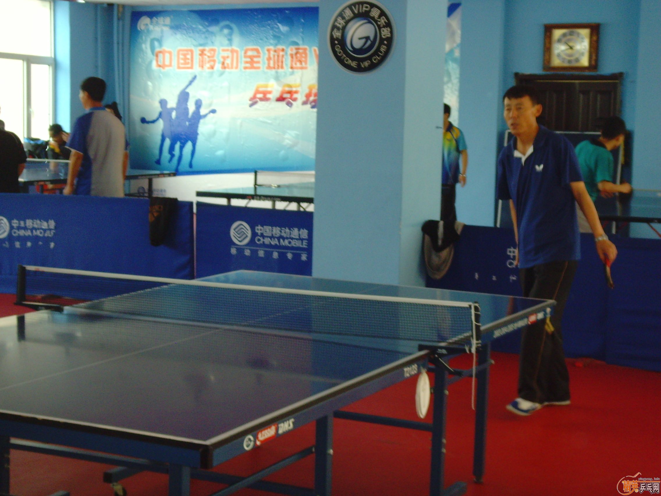 ��һ�쾫Ӣ��������ƹ������ֲ�����ͼƬ���ܣ������������㣩