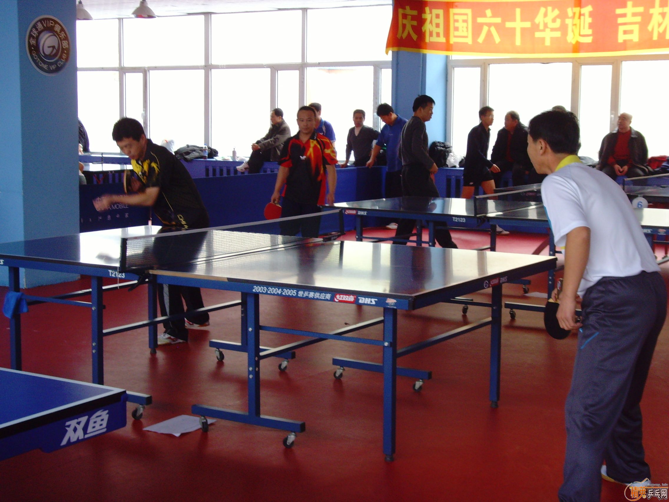 ��һ�쾫Ӣ��������ƹ������ֲ�����ͼƬ���ܣ������������㣩