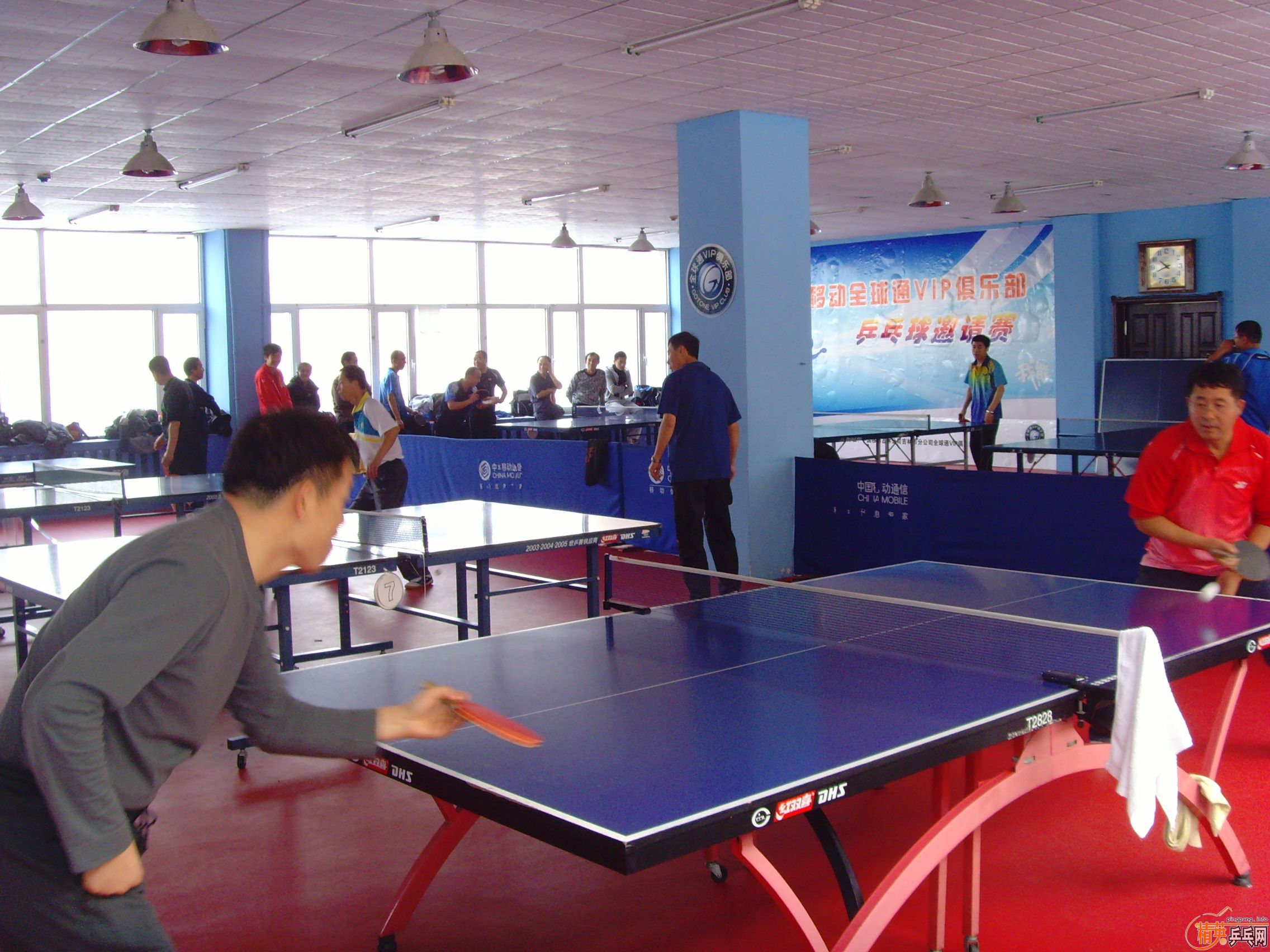 ��һ�쾫Ӣ��������ƹ������ֲ�����ͼƬ���ܣ������������㣩