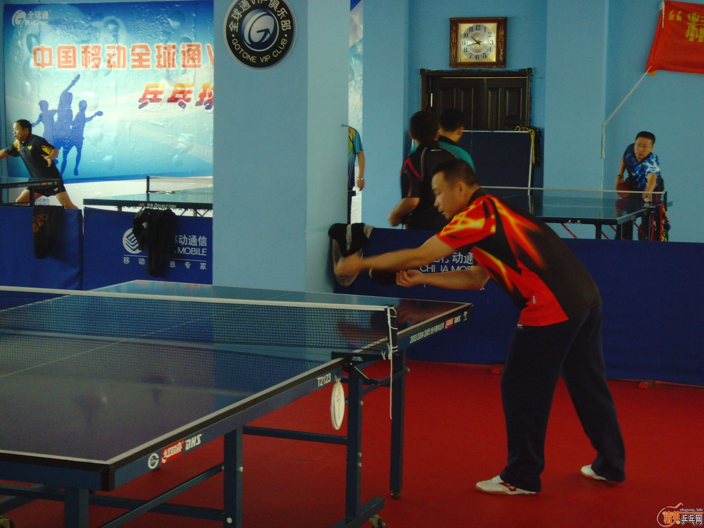 ��һ�쾫Ӣ��������ƹ������ֲ�����ͼƬ���ܣ������������㣩