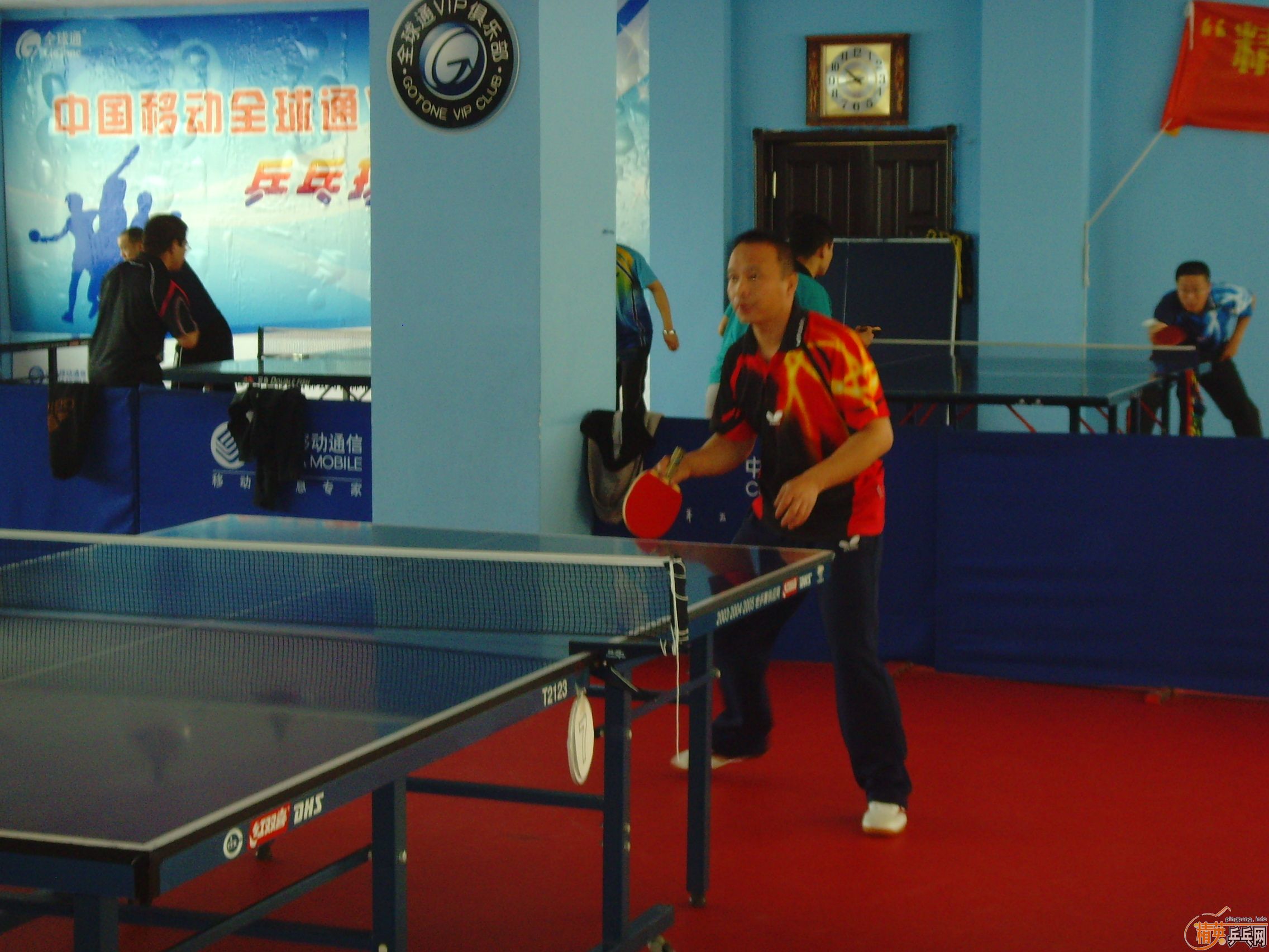 ��һ�쾫Ӣ��������ƹ������ֲ�����ͼƬ���ܣ������������㣩