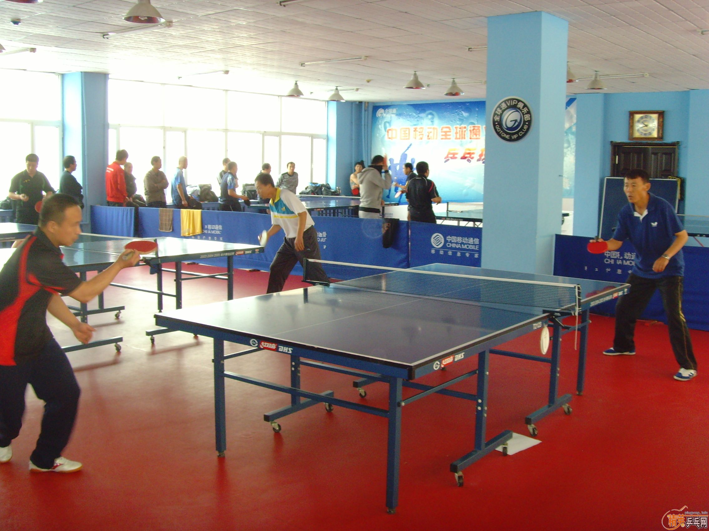 ��һ�쾫Ӣ��������ƹ������ֲ�����ͼƬ���ܣ������������㣩