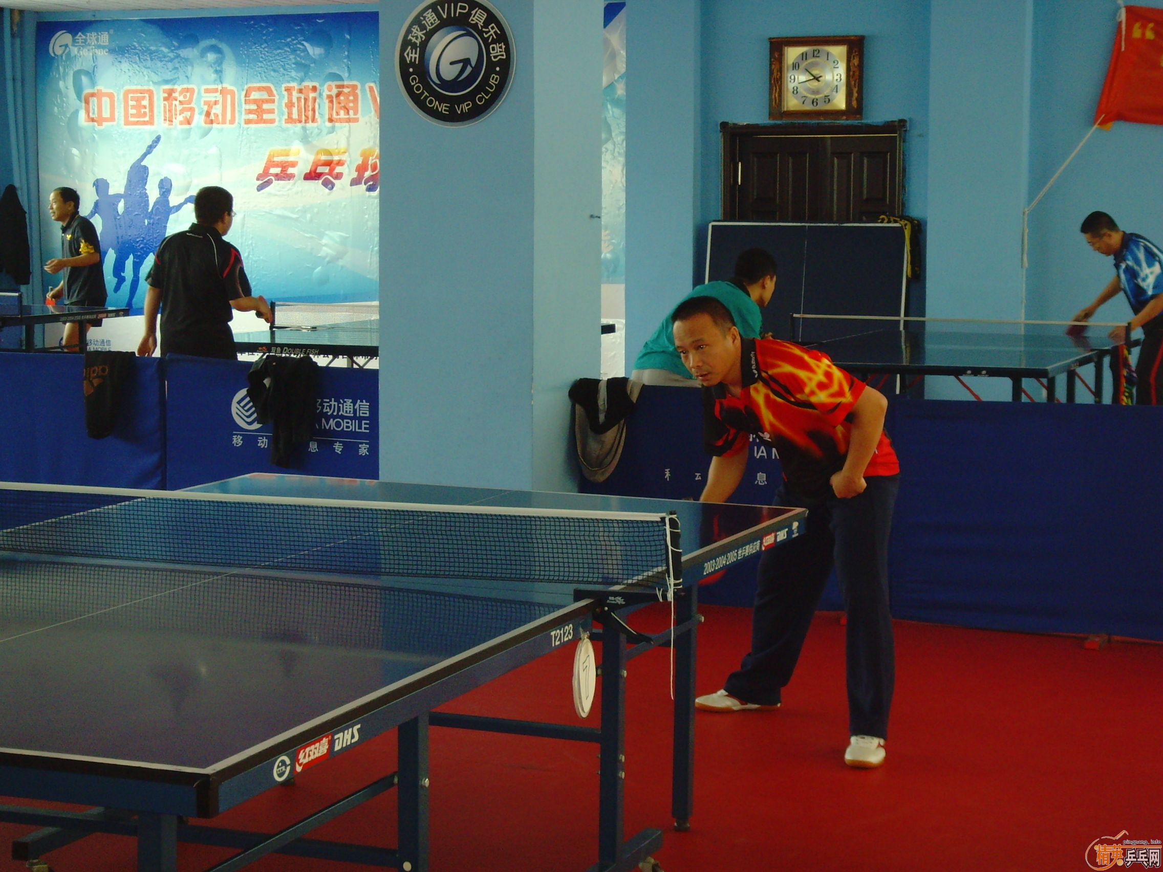 ��һ�쾫Ӣ��������ƹ������ֲ�����ͼƬ���ܣ������������㣩