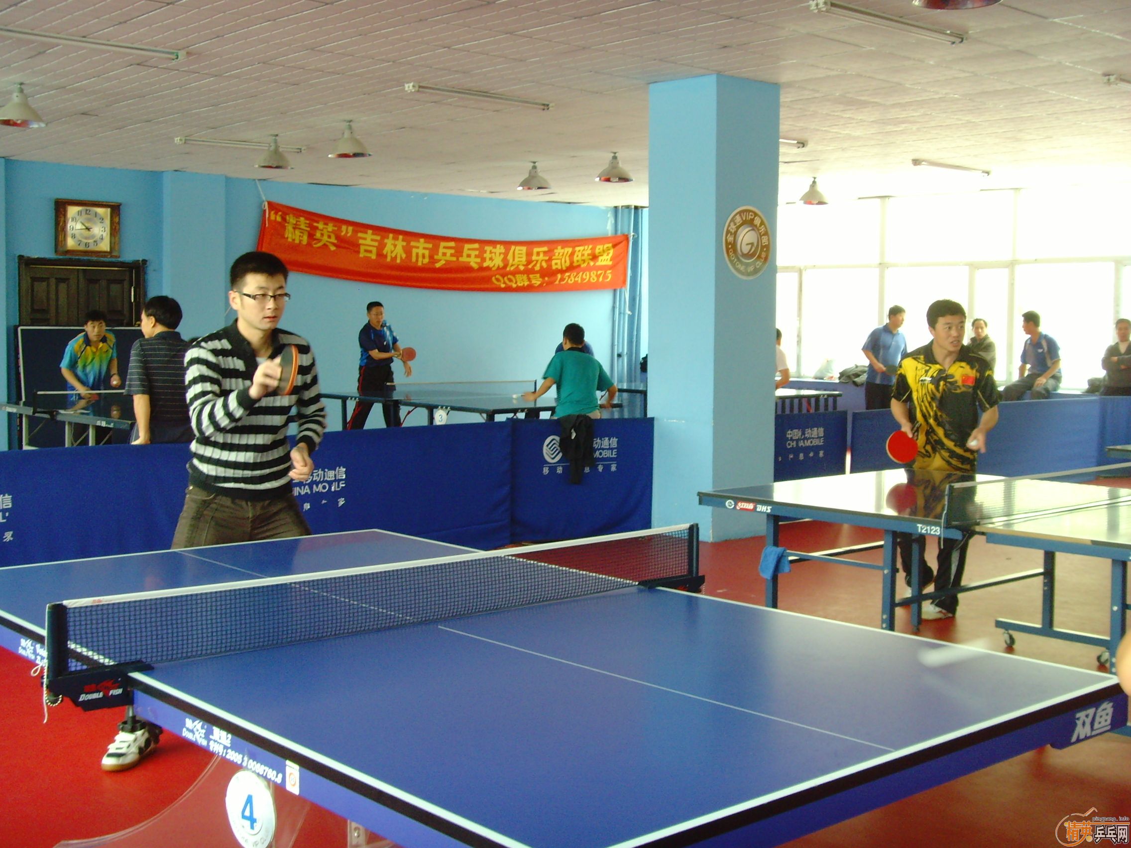 ��һ�쾫Ӣ��������ƹ������ֲ�����ͼƬ���ܣ������������㣩