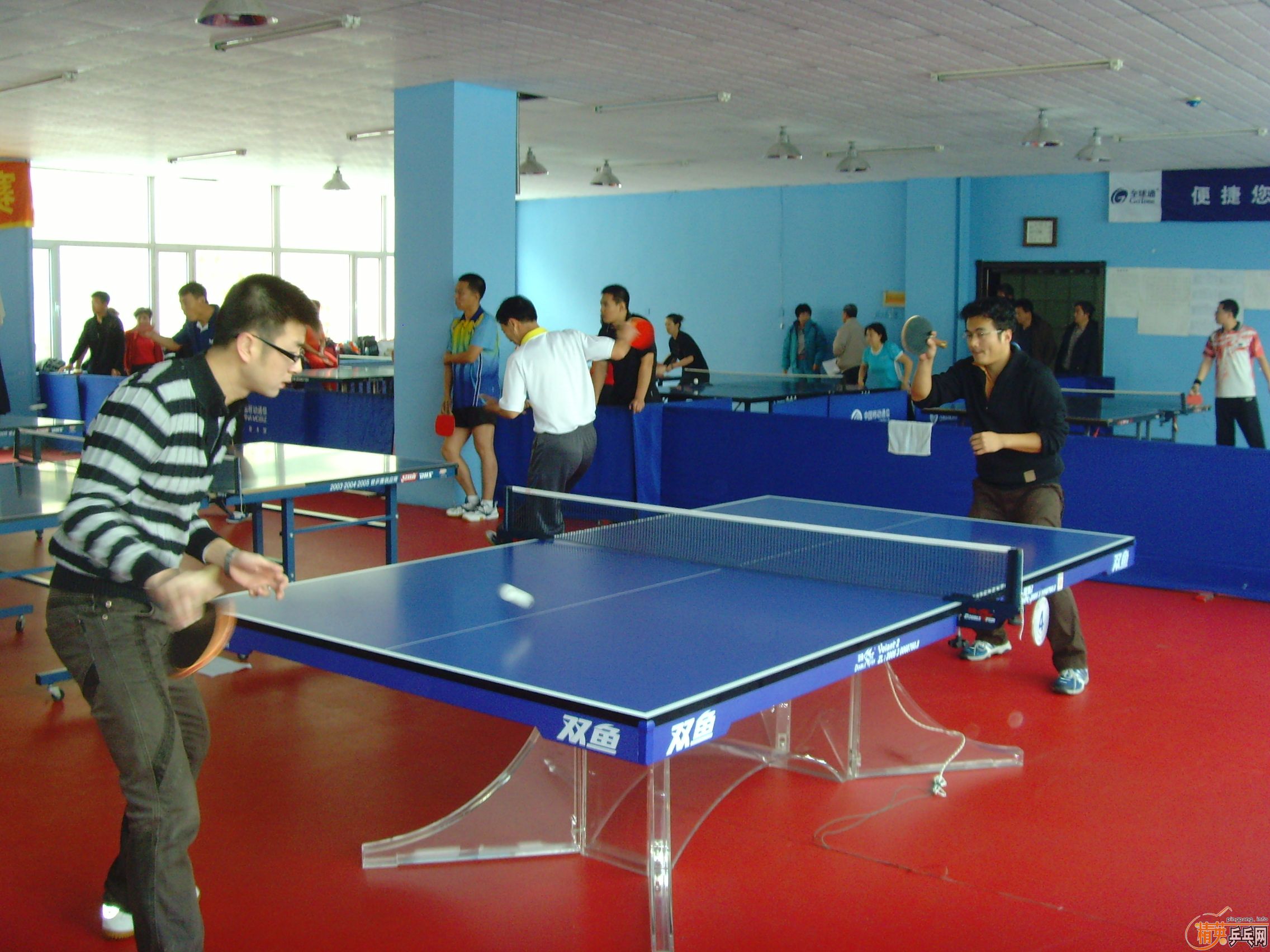 ��һ�쾫Ӣ��������ƹ������ֲ�����ͼƬ���ܣ������������㣩