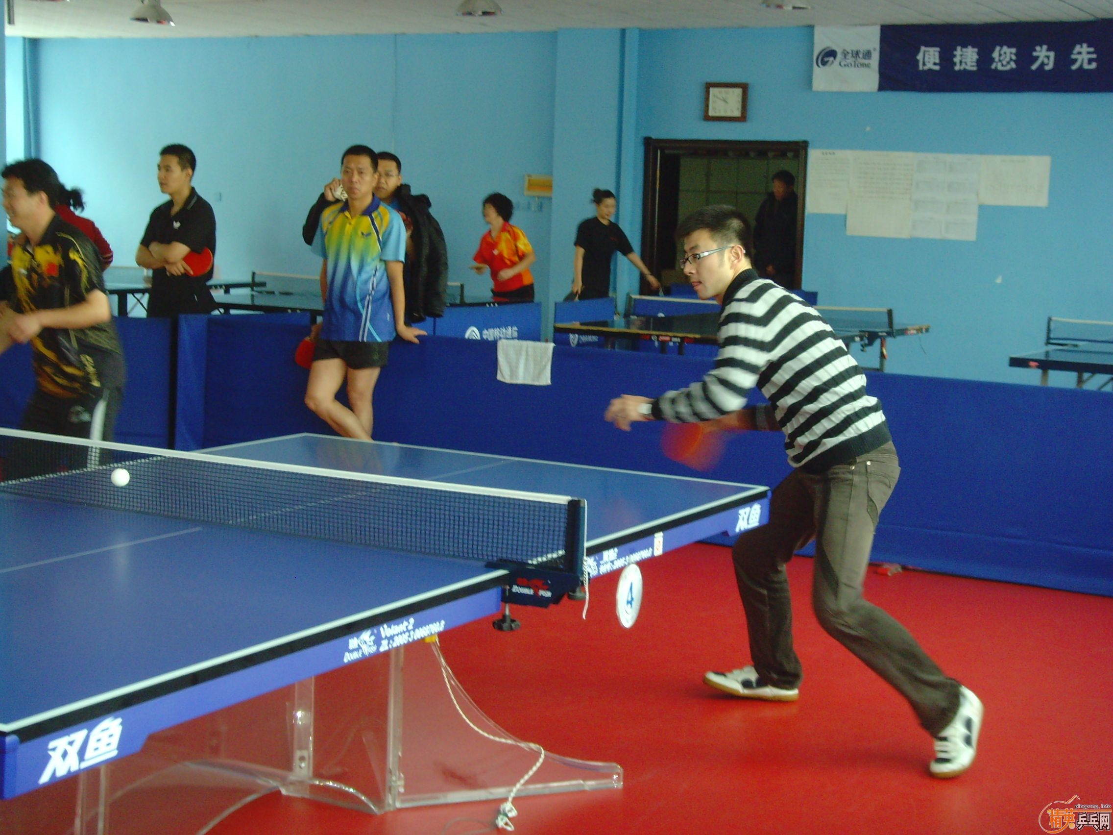 ��һ�쾫Ӣ��������ƹ������ֲ�����ͼƬ���ܣ������������㣩