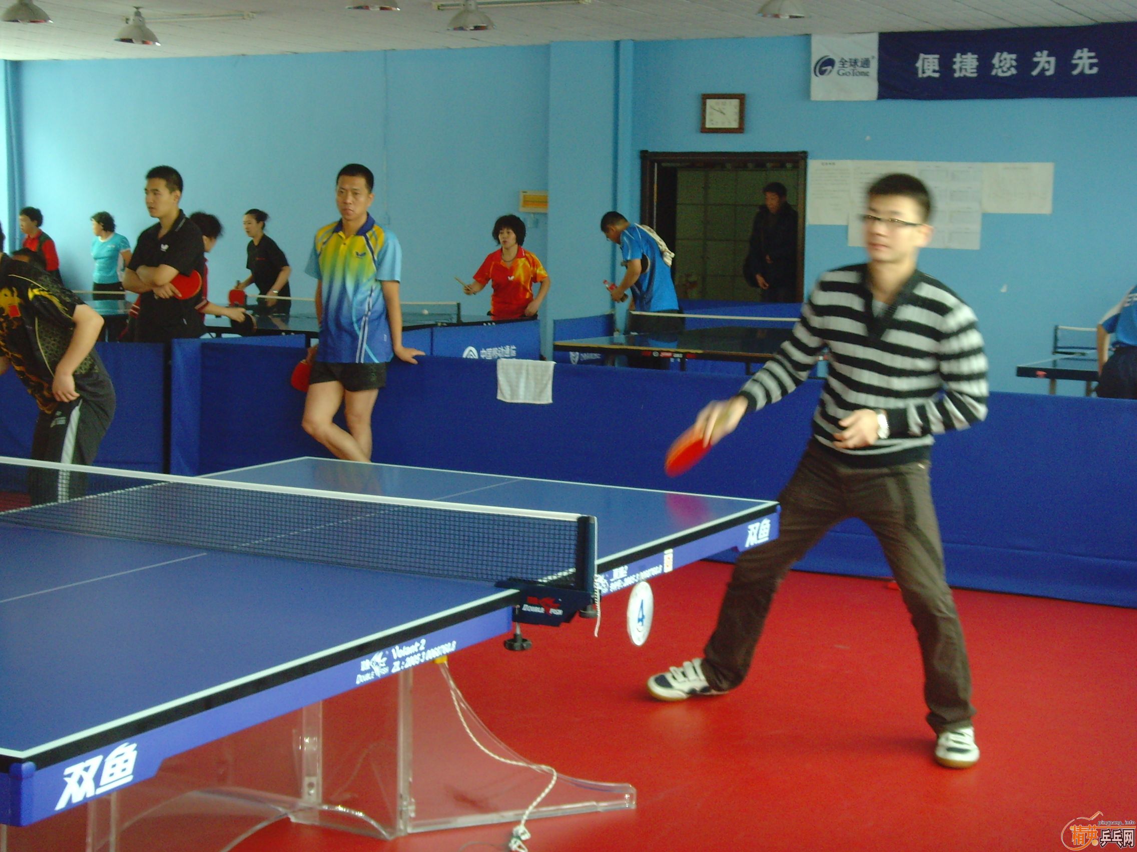 ��һ�쾫Ӣ��������ƹ������ֲ�����ͼƬ���ܣ������������㣩