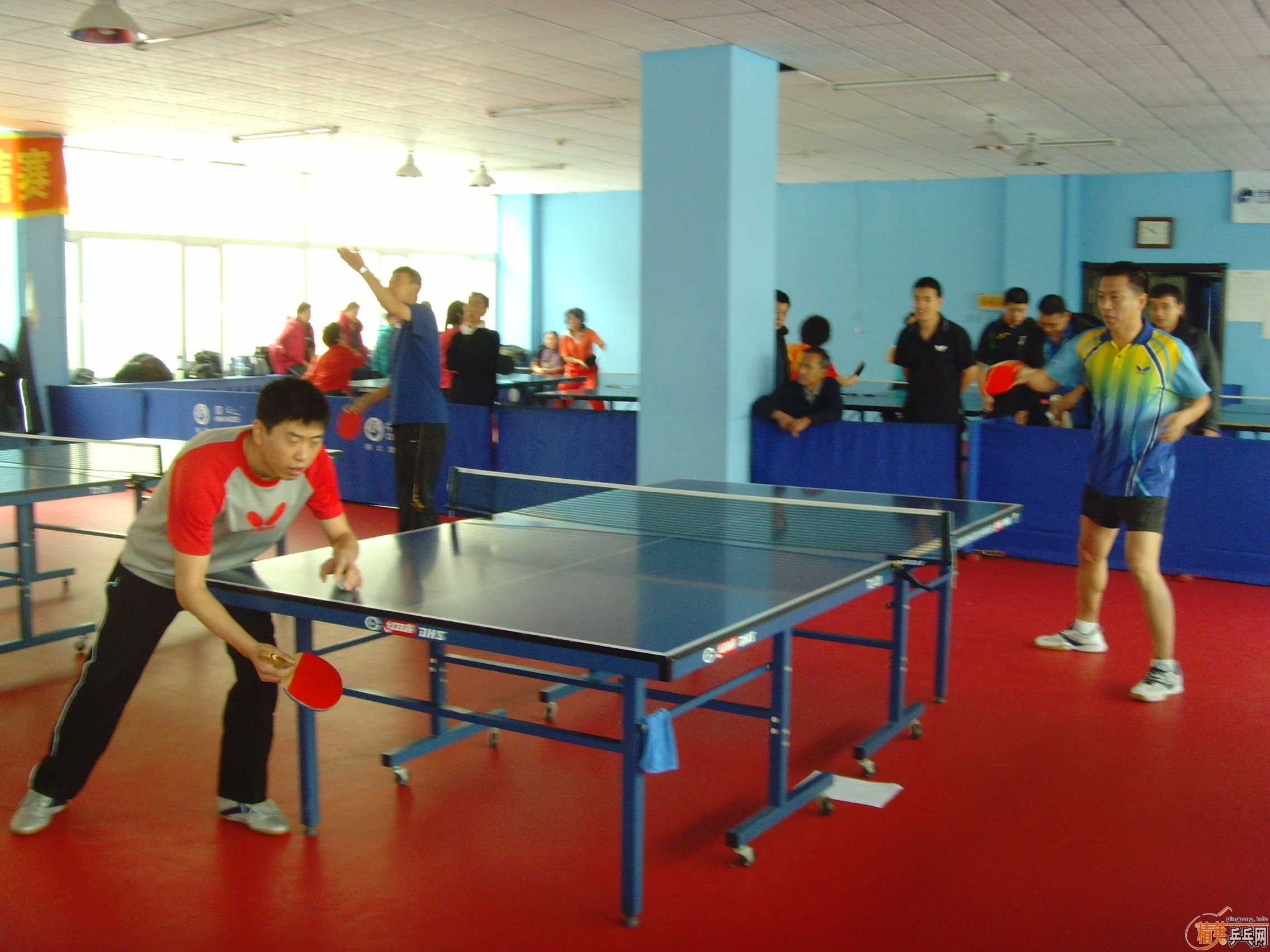 ��һ�쾫Ӣ��������ƹ������ֲ�����ͼƬ���ܣ������������㣩