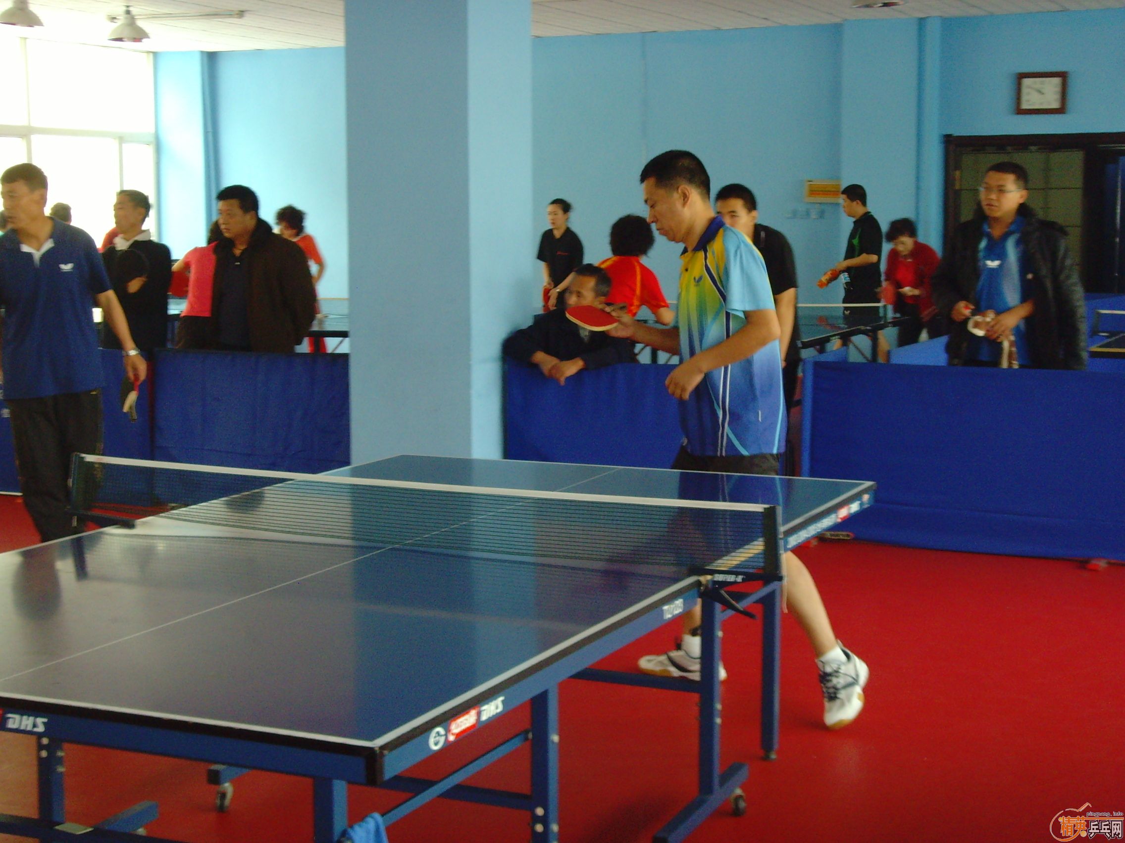 ��һ�쾫Ӣ��������ƹ������ֲ�����ͼƬ���ܣ������������㣩