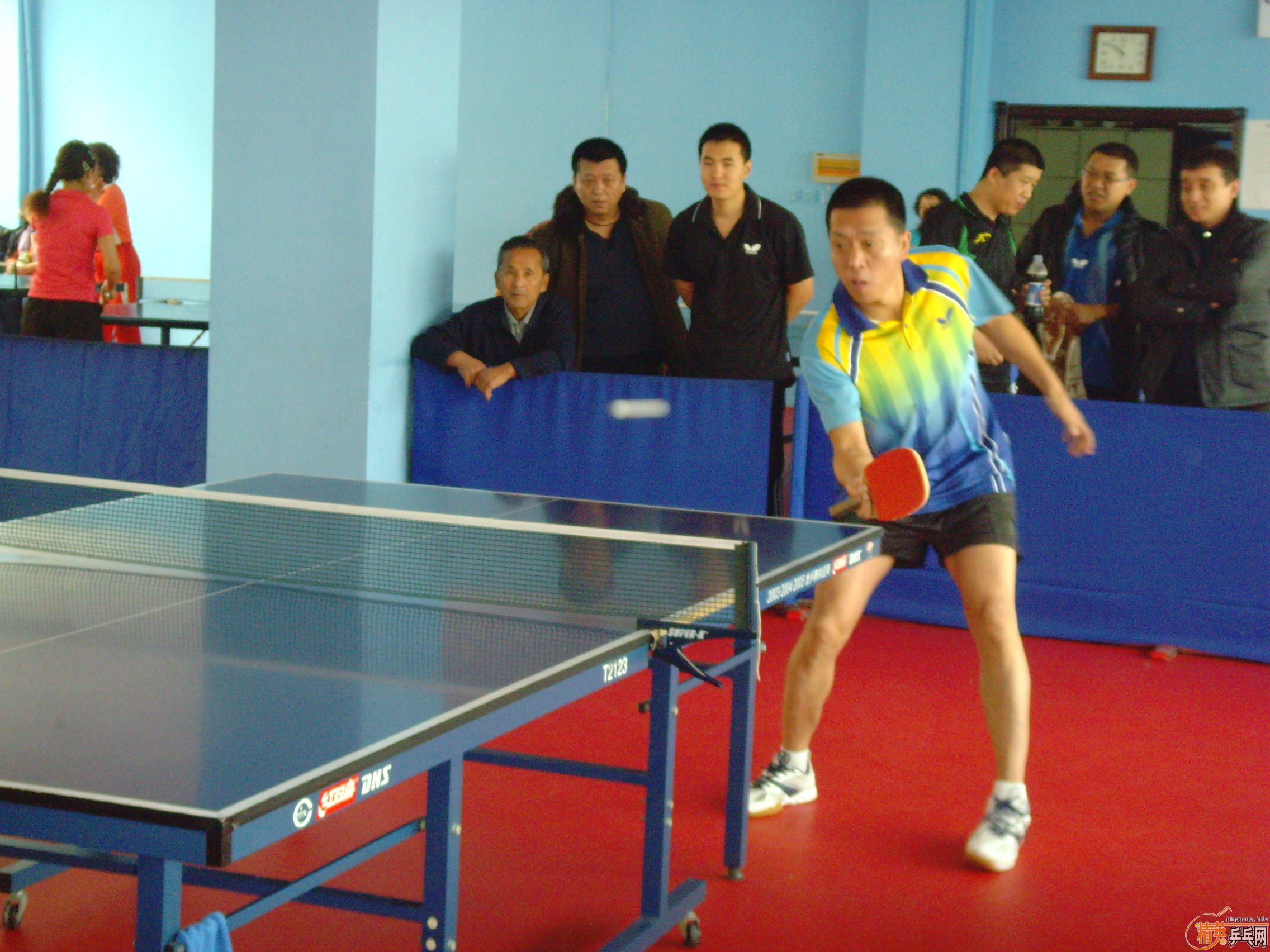 ��һ�쾫Ӣ��������ƹ������ֲ�����ͼƬ���ܣ������������㣩