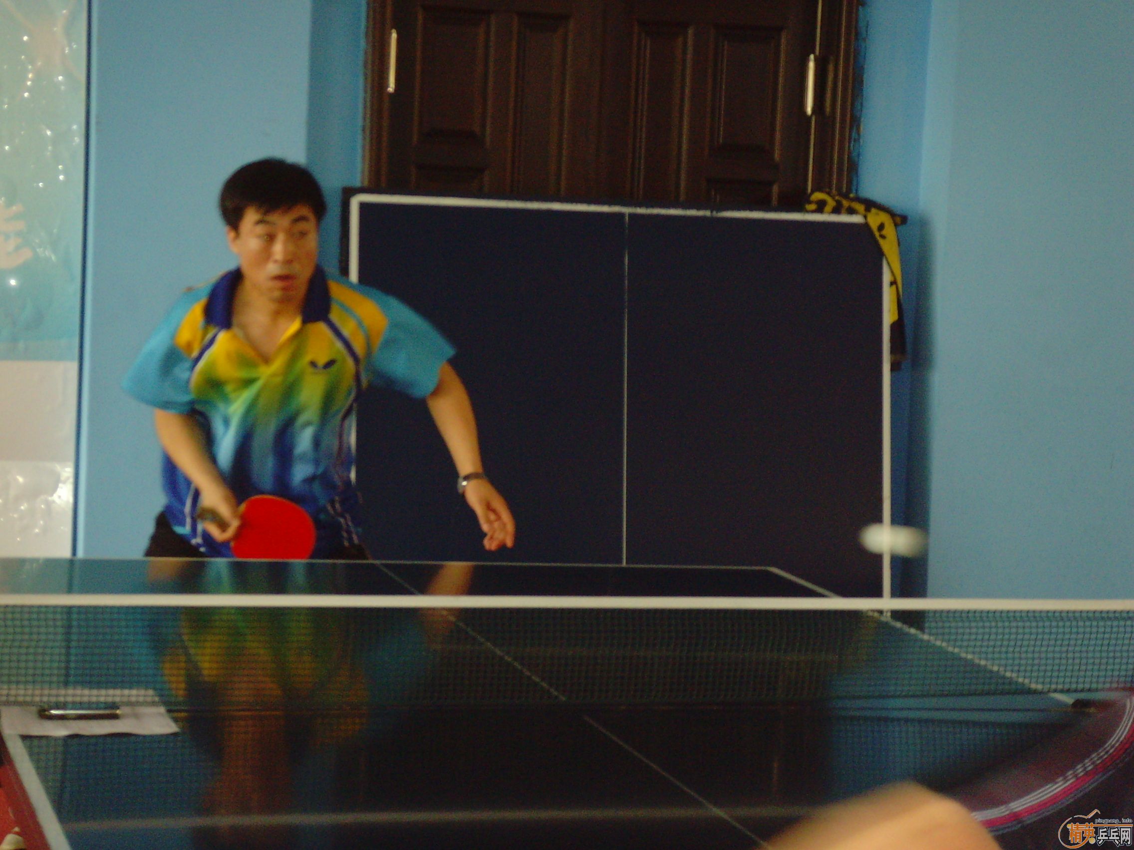 ��һ�쾫Ӣ��������ƹ������ֲ�����ͼƬ���ܣ������������㣩