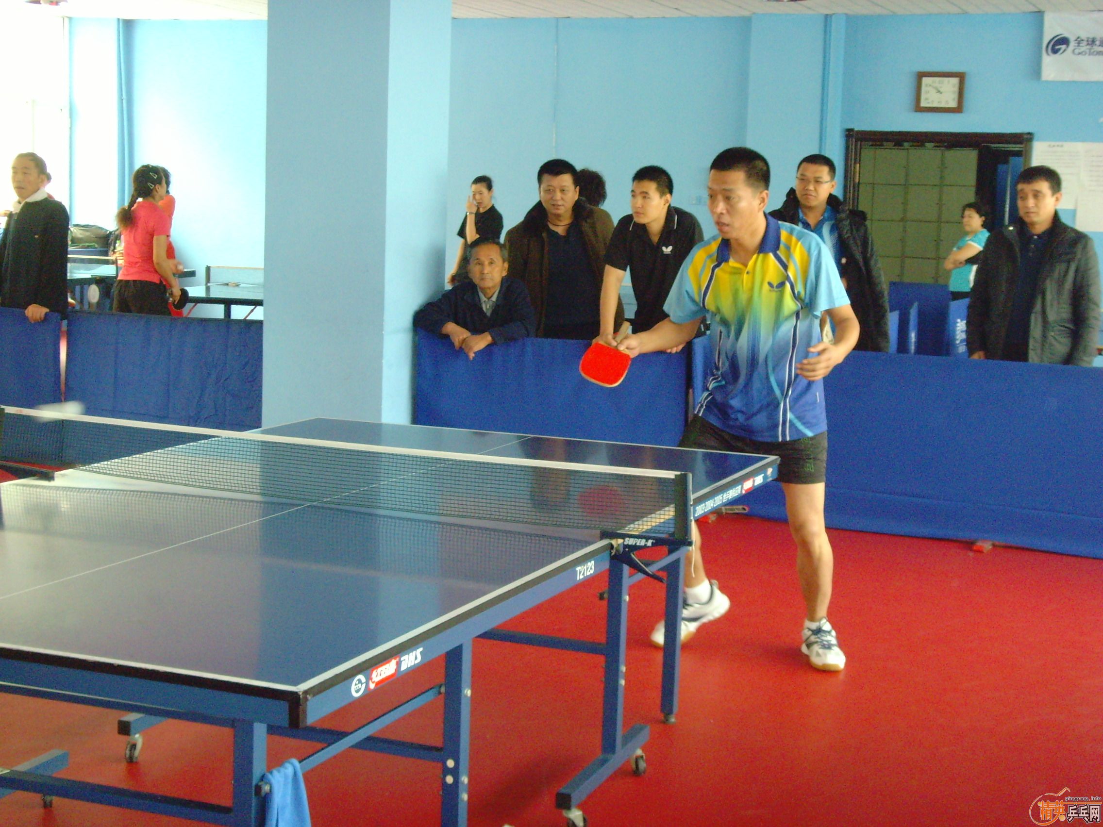 ��һ�쾫Ӣ��������ƹ������ֲ�����ͼƬ���ܣ������������㣩