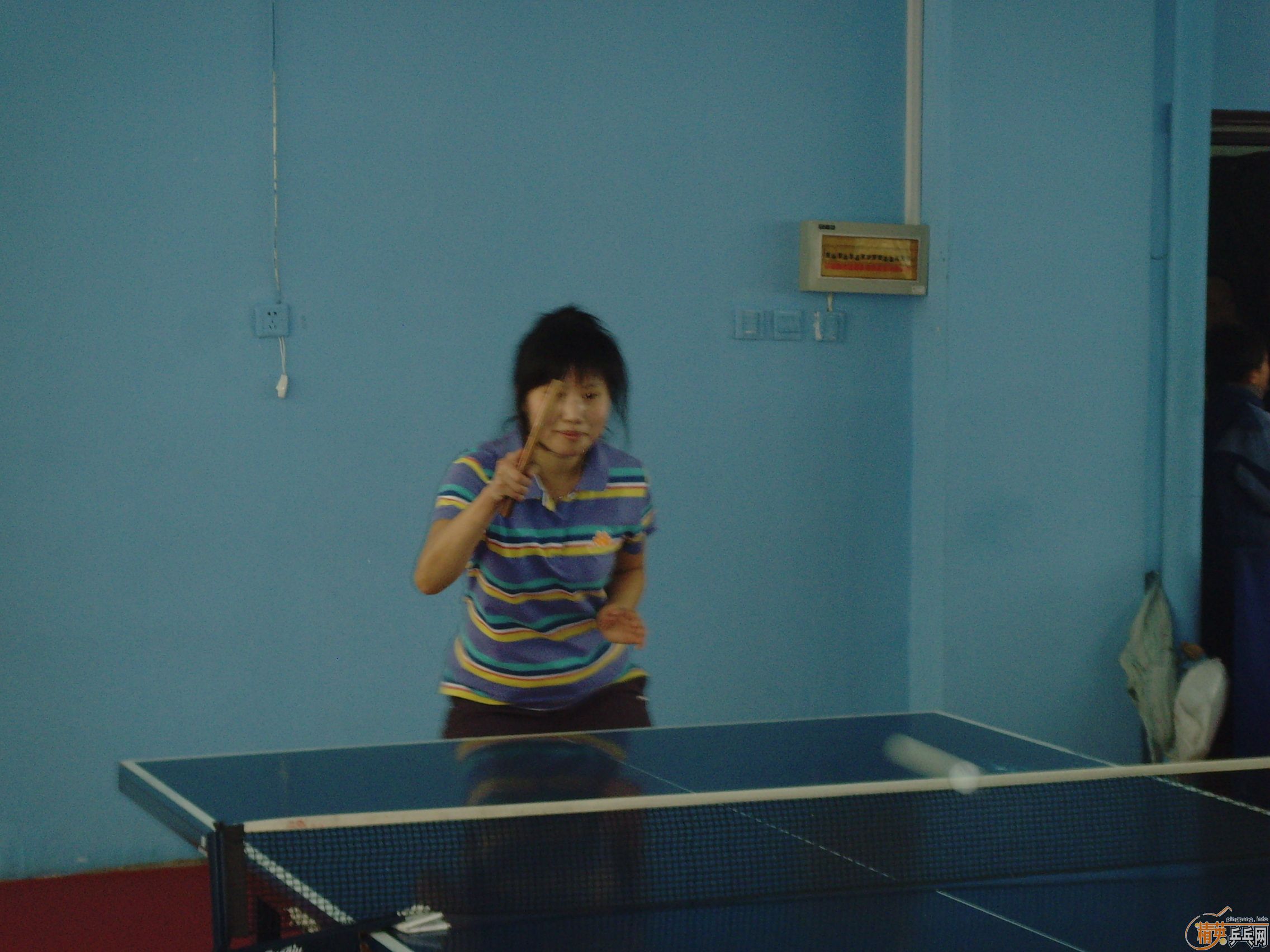 ��һ�쾫Ӣ��������ƹ������ֲ�����ͼƬ���ܣ������������㣩