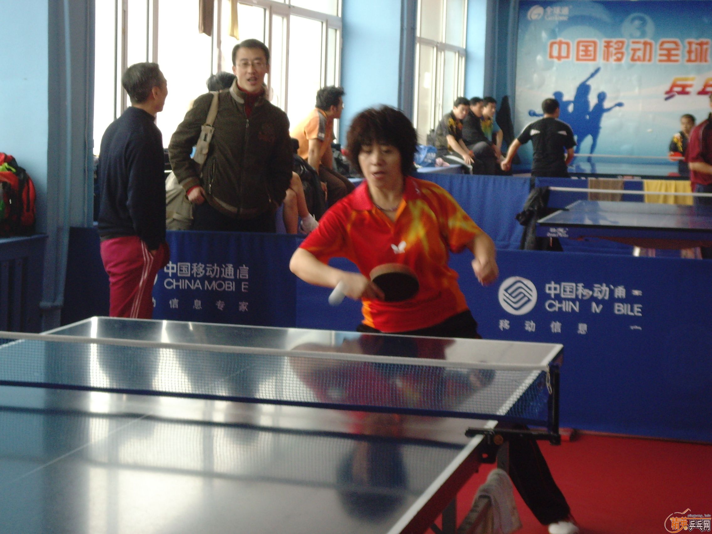 ��һ�쾫Ӣ��������ƹ������ֲ�����ͼƬ���ܣ������������㣩