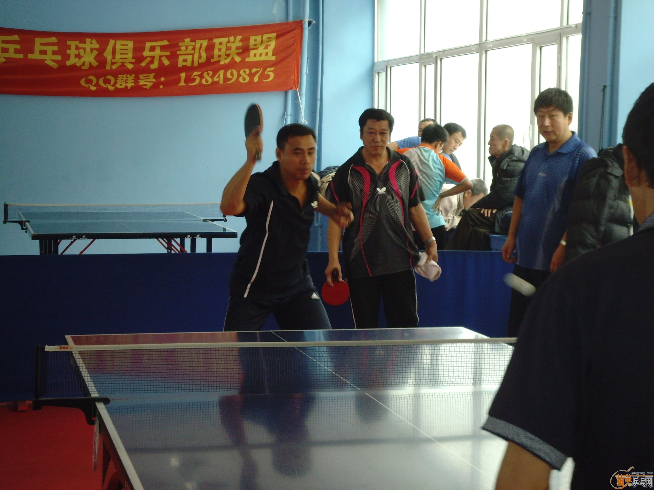 ��һ�쾫Ӣ��������ƹ������ֲ�����ͼƬ���ܣ������������㣩