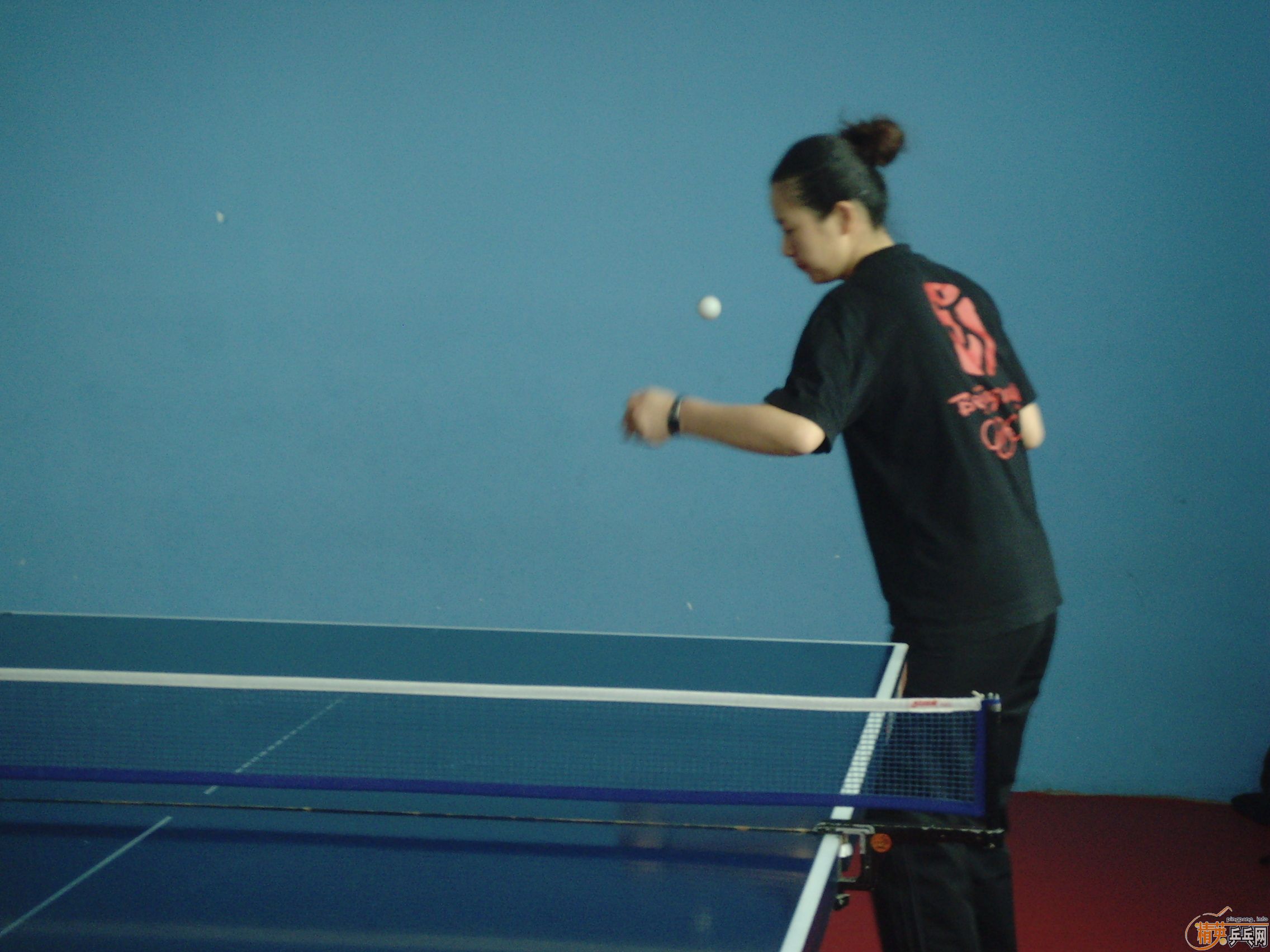 ��һ�쾫Ӣ��������ƹ������ֲ�����ͼƬ���ܣ������������㣩